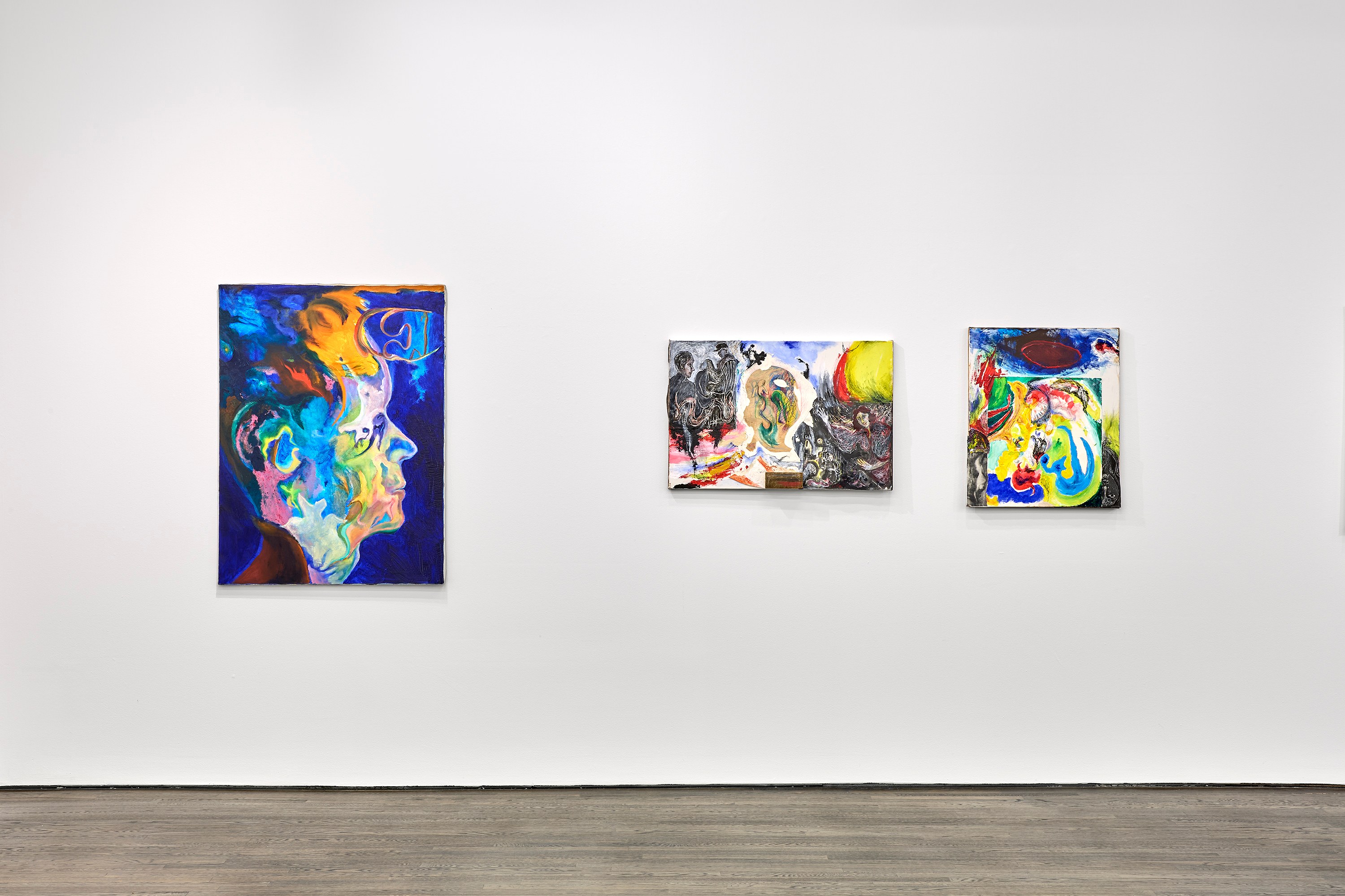 Amy Sheffer, I Am Shee at White Columns, photo 7