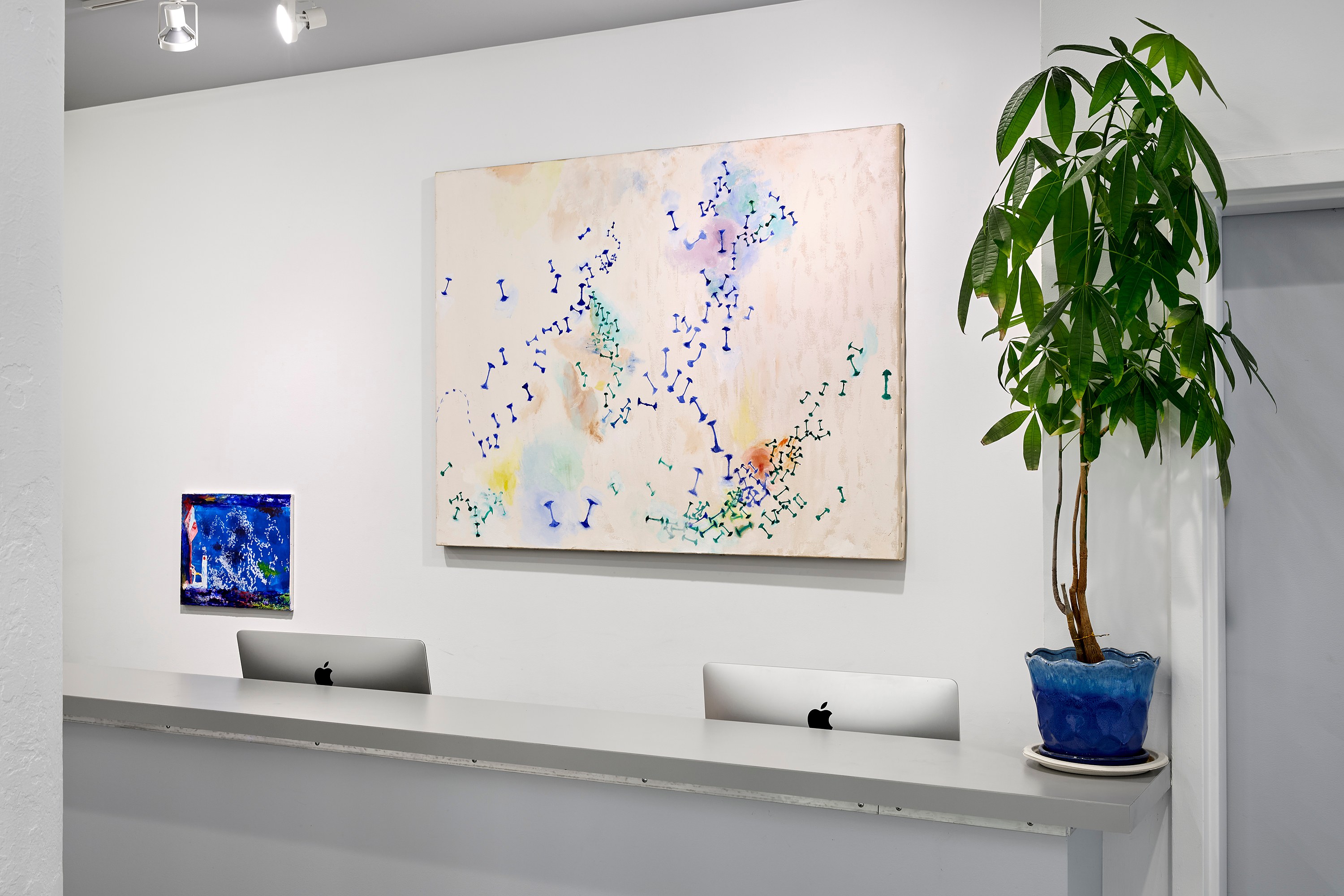 Amy Sheffer, I Am Shee at White Columns, photo 14