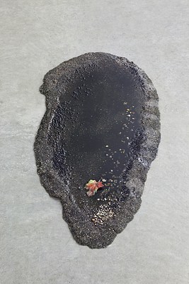 Image 6 of 14