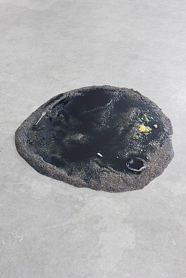 Image 7 of 14