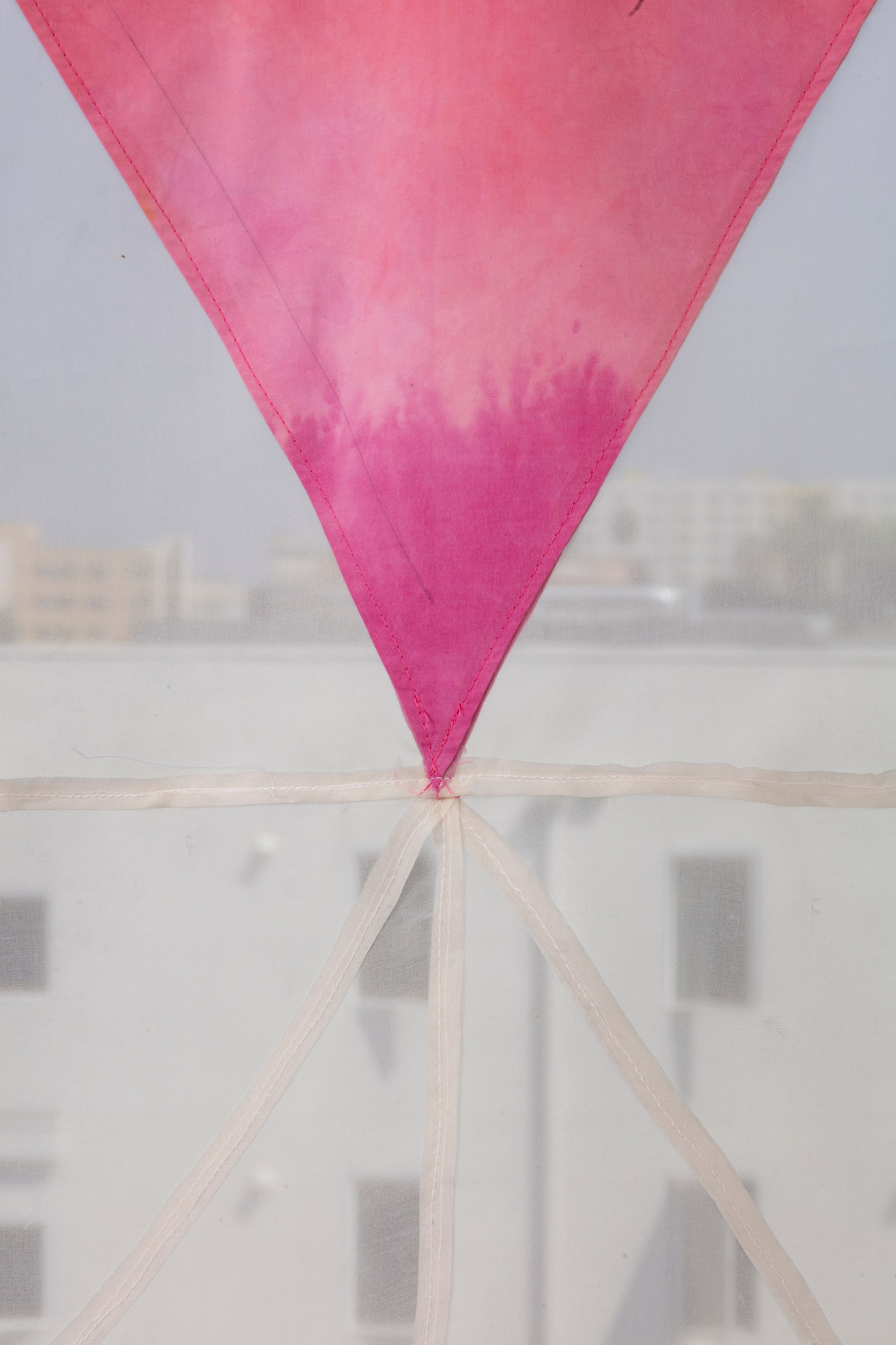 Susanna Kim Koetter, image 14 of 40