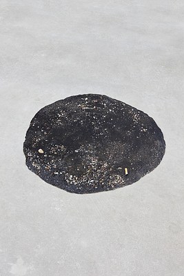 Image 10 of 14