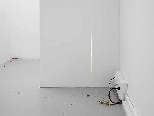 Image 10 of 33