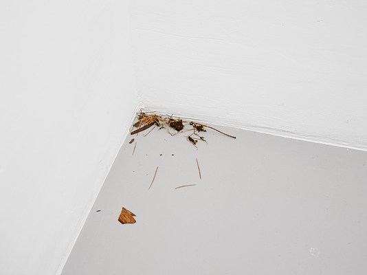Image 13 of 33