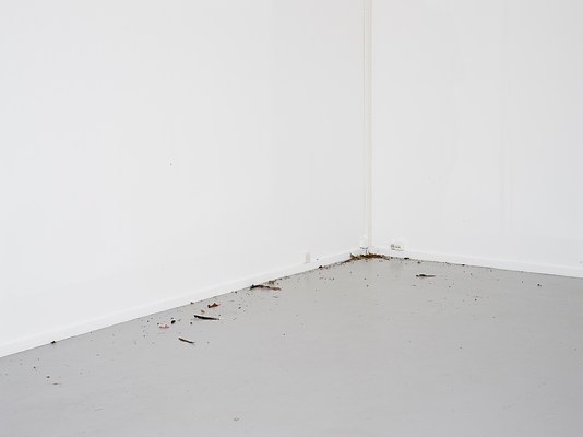 Image 14 of 33