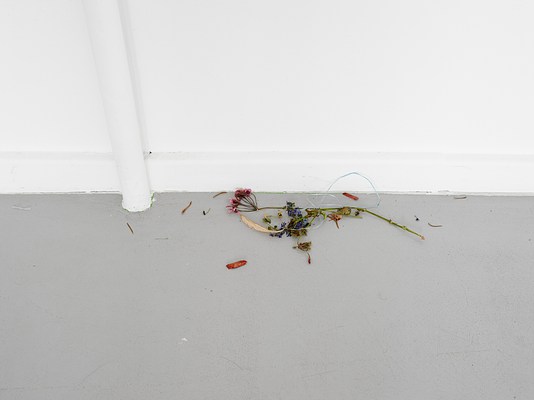 Image 21 of 33