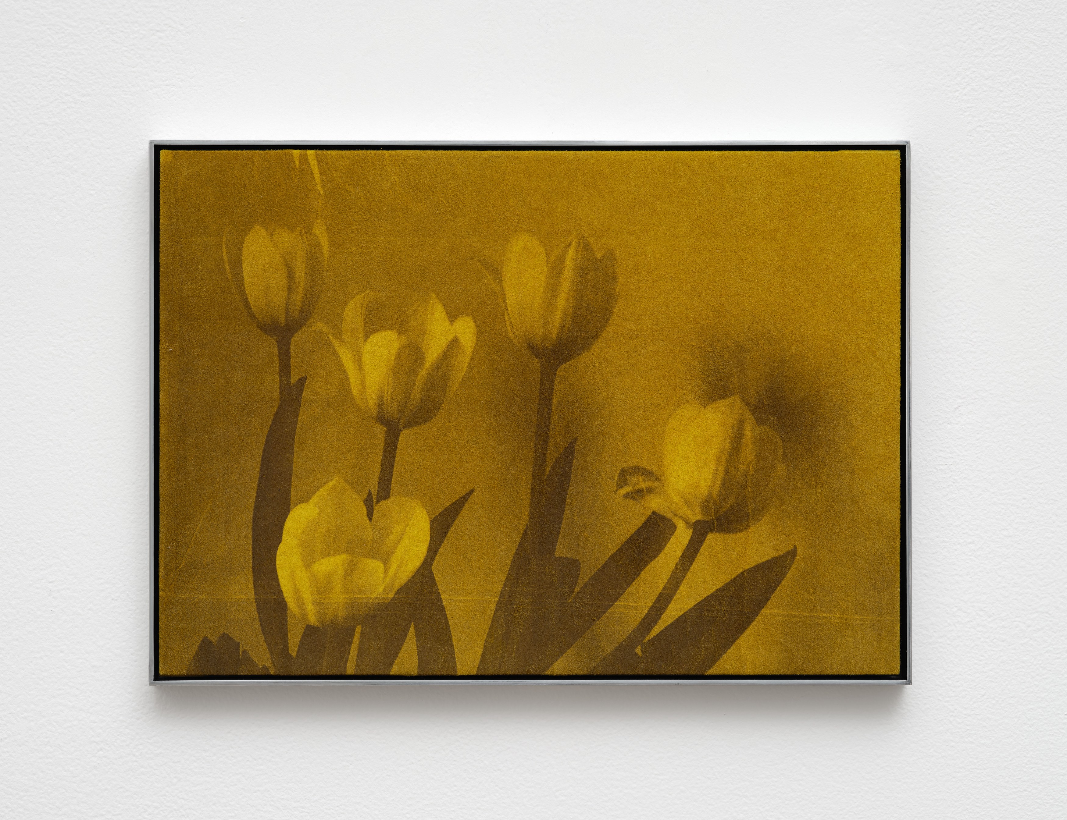 Poppy Jones, image 10 of 34