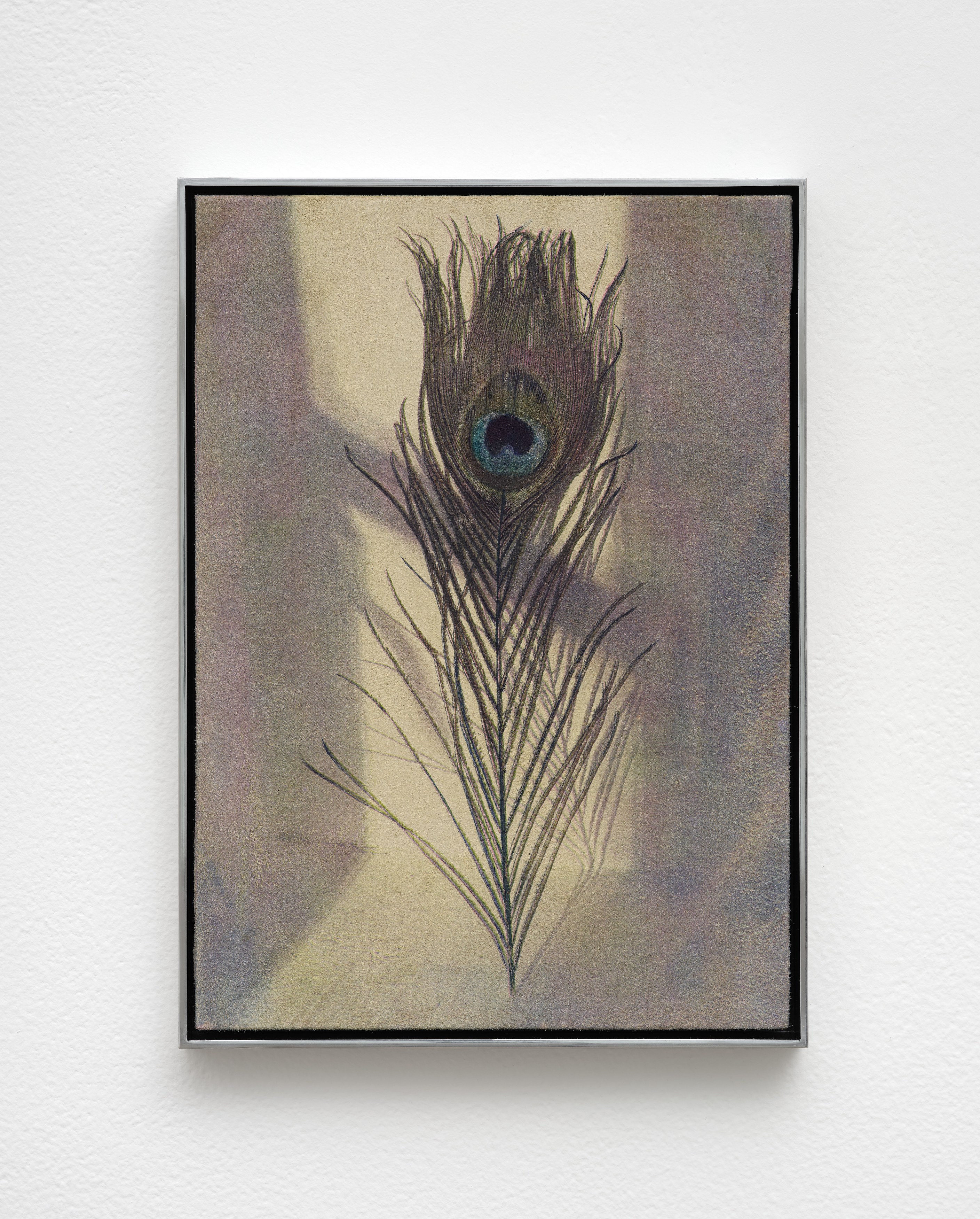 Poppy Jones, image 13 of 34