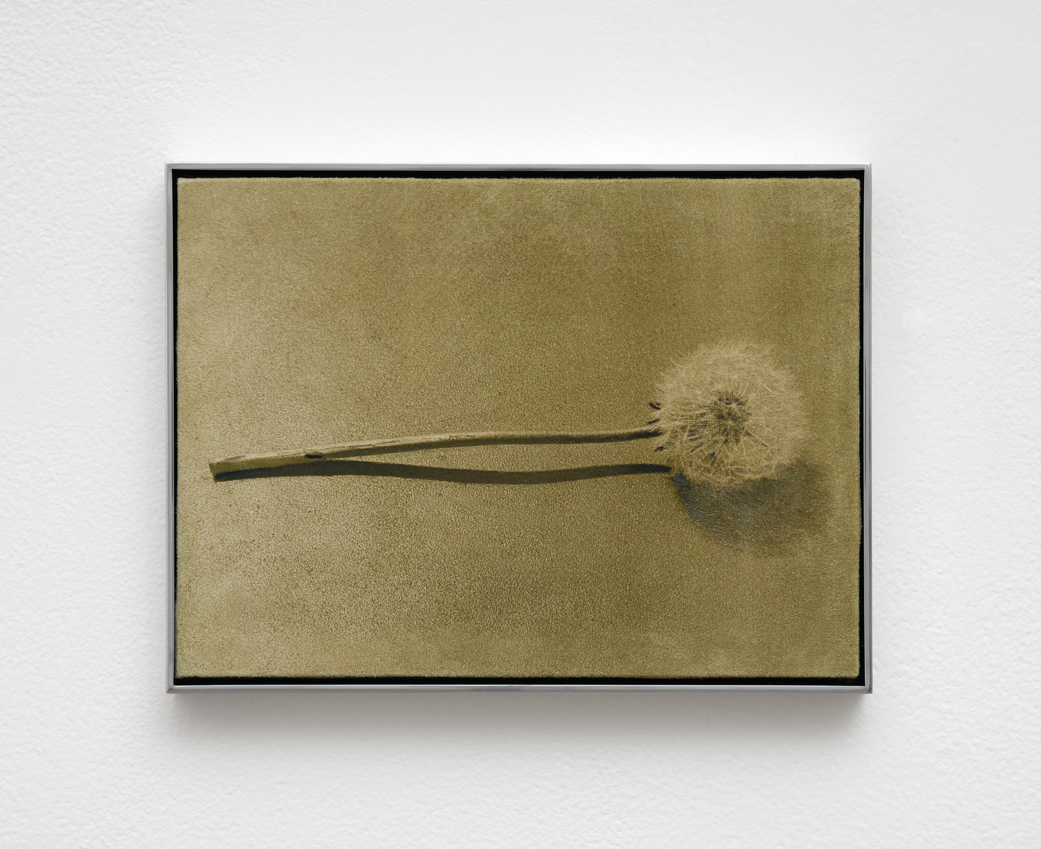Poppy Jones, image 19 of 34