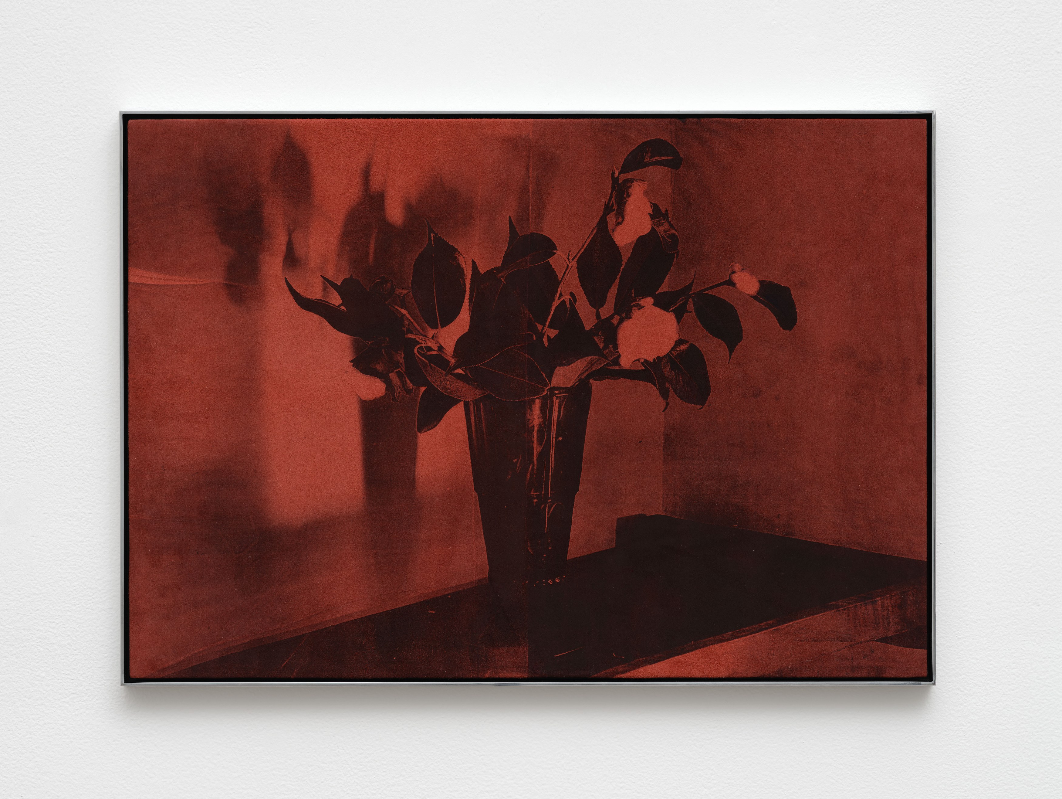 Poppy Jones, image 25 of 34