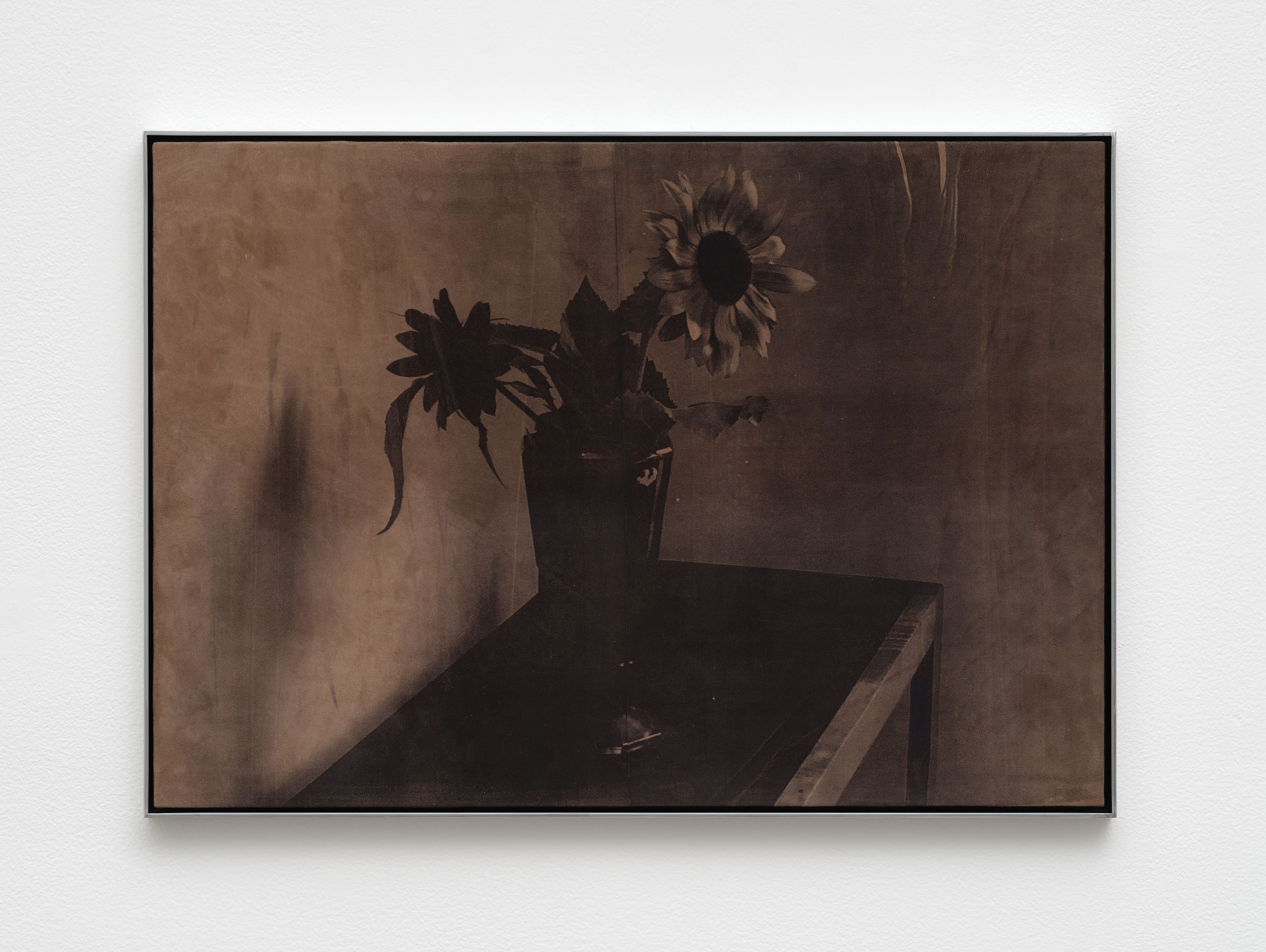 Poppy Jones, image 33 of 34