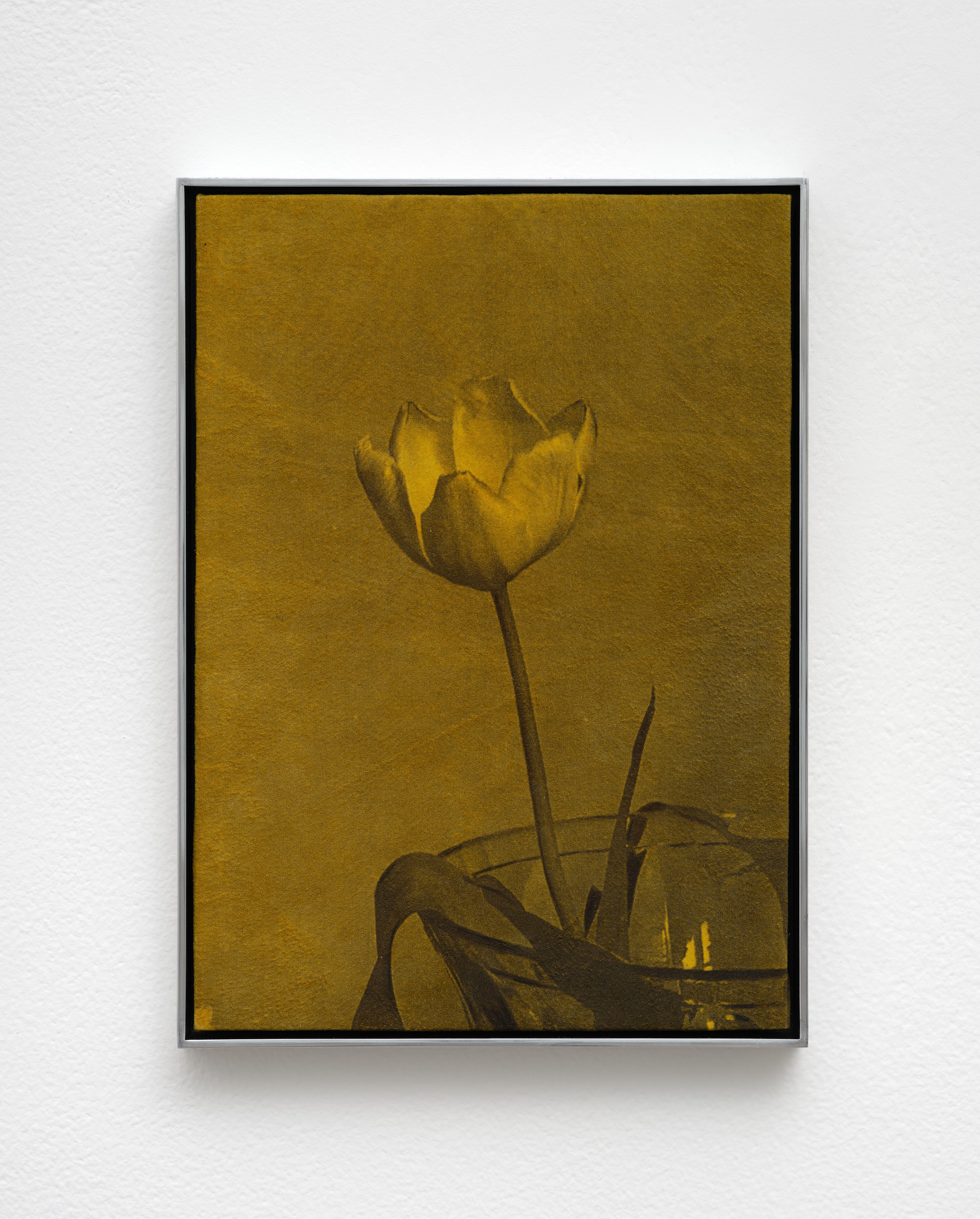 Poppy Jones, image 31 of 34