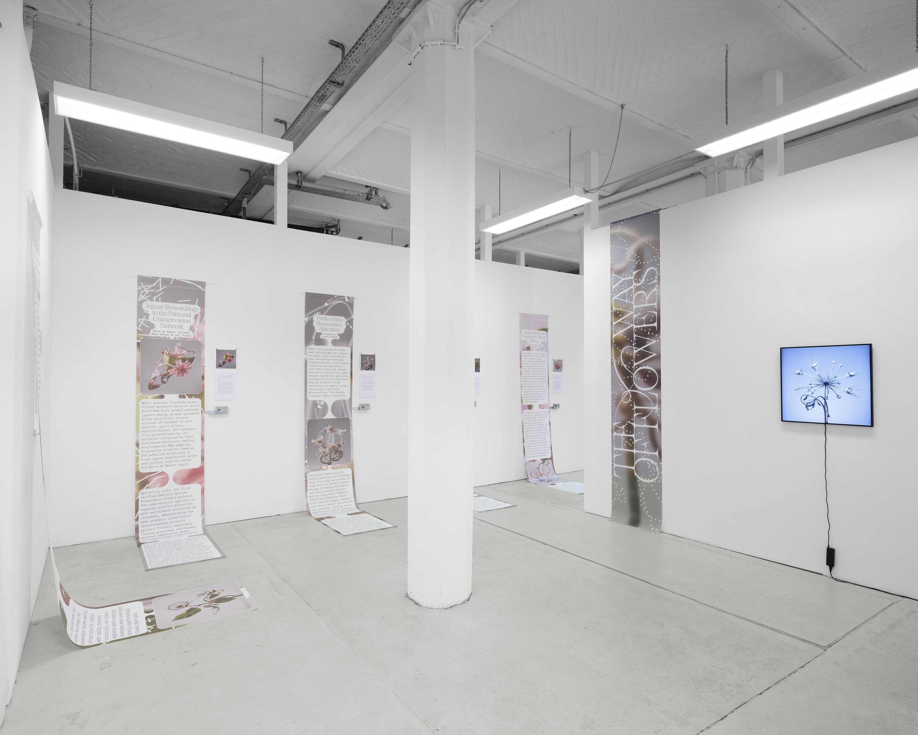 CROSSLUCID, image 5 of 25