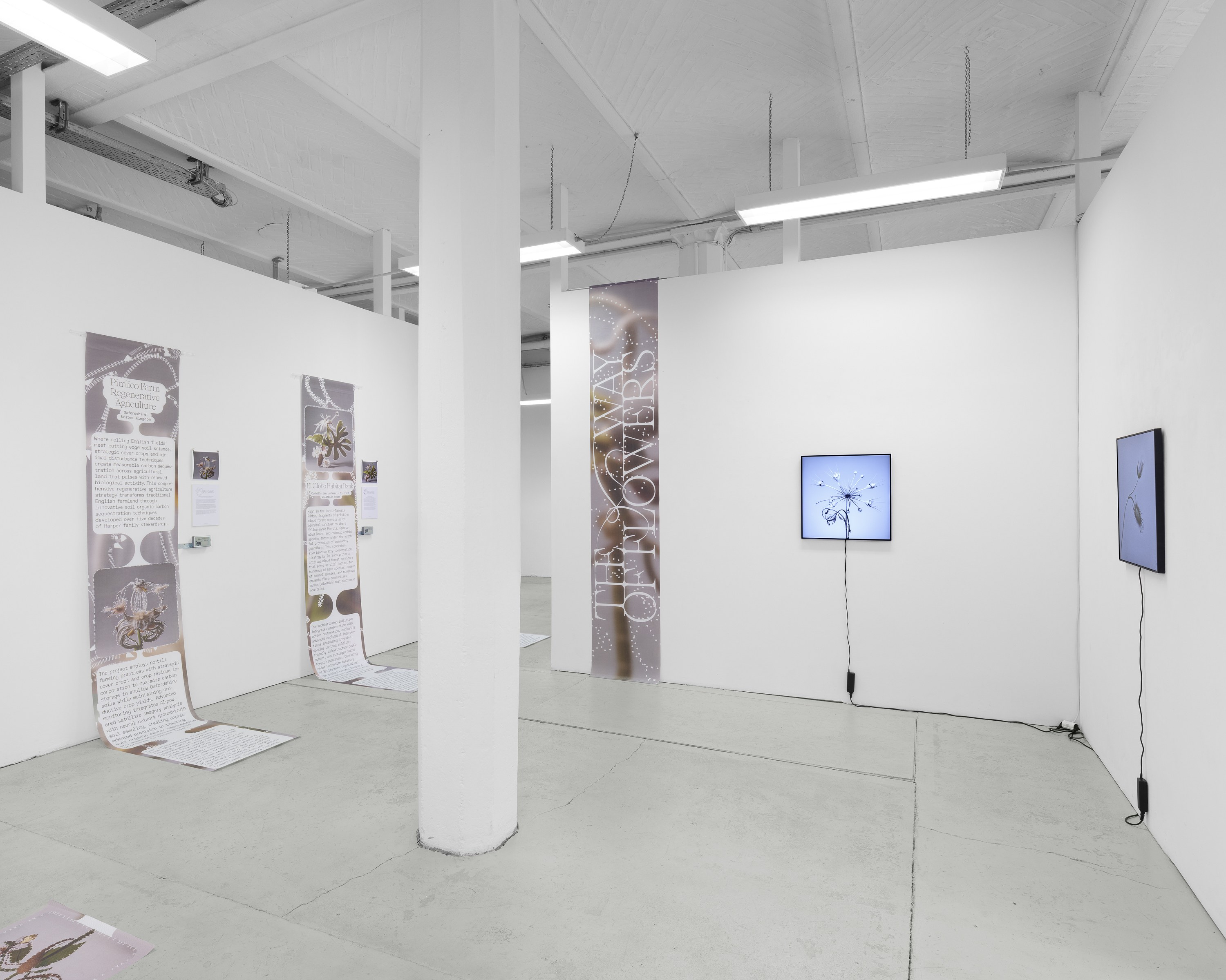 CROSSLUCID, image 6 of 25