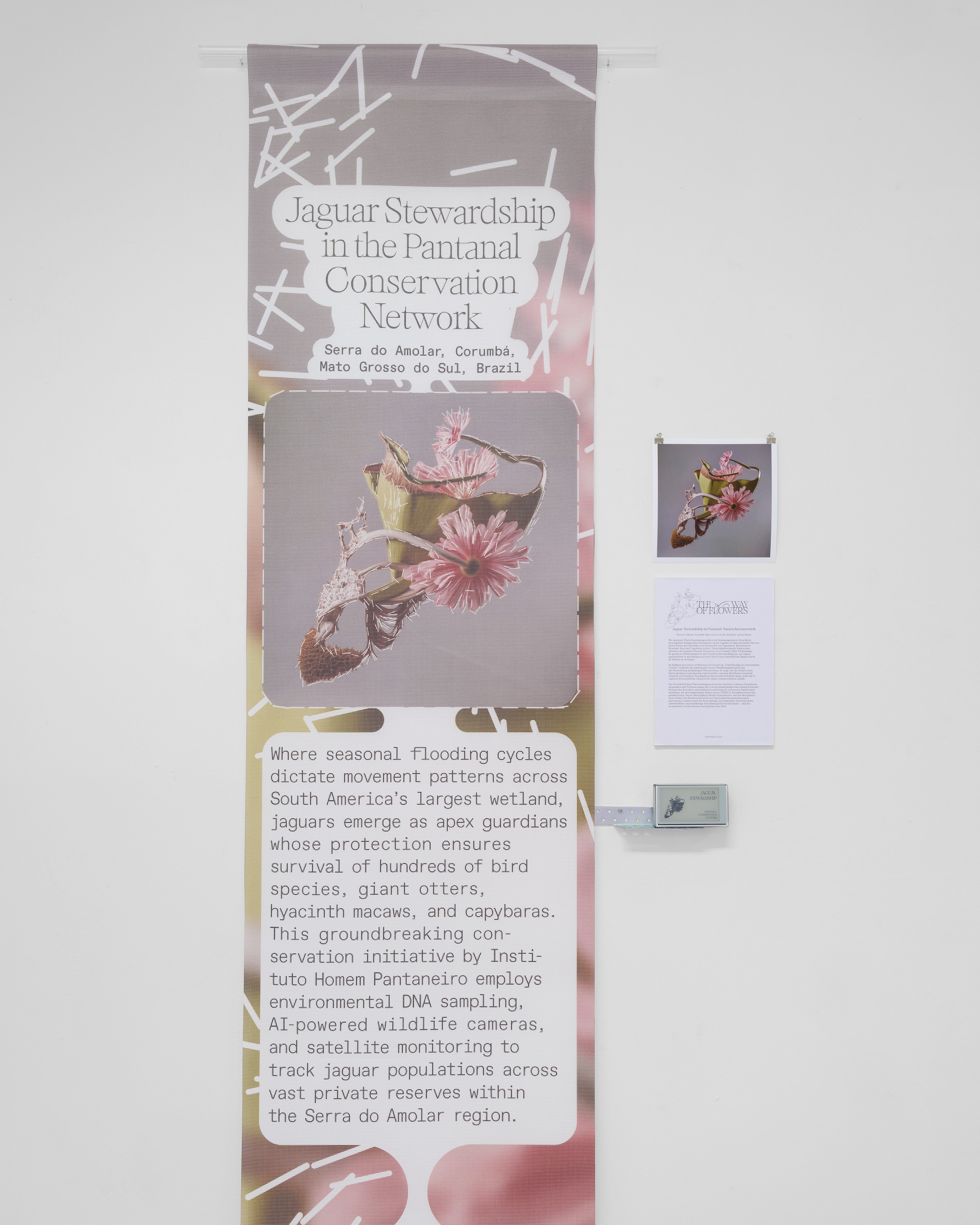 CROSSLUCID, image 12 of 25