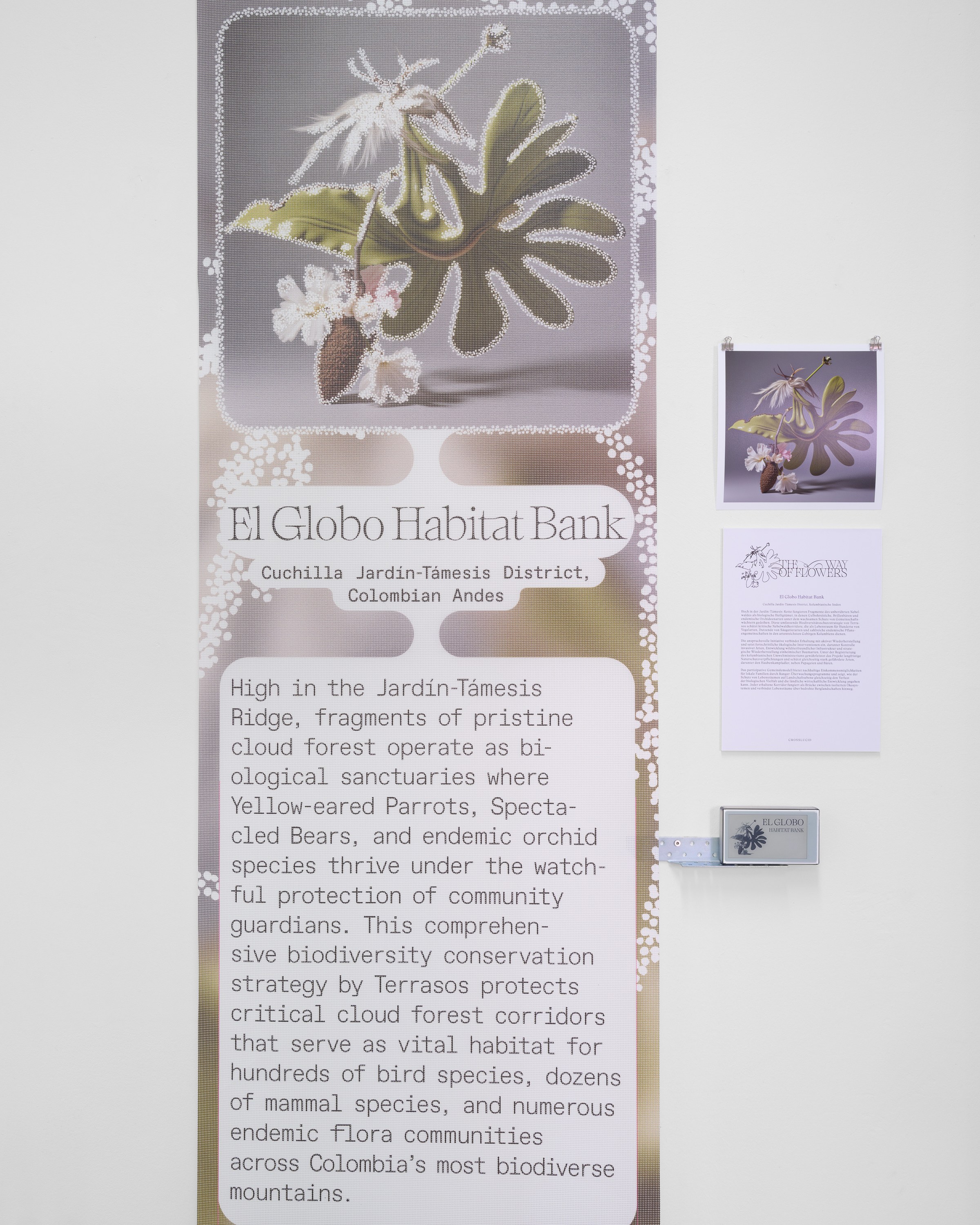 CROSSLUCID, image 11 of 25