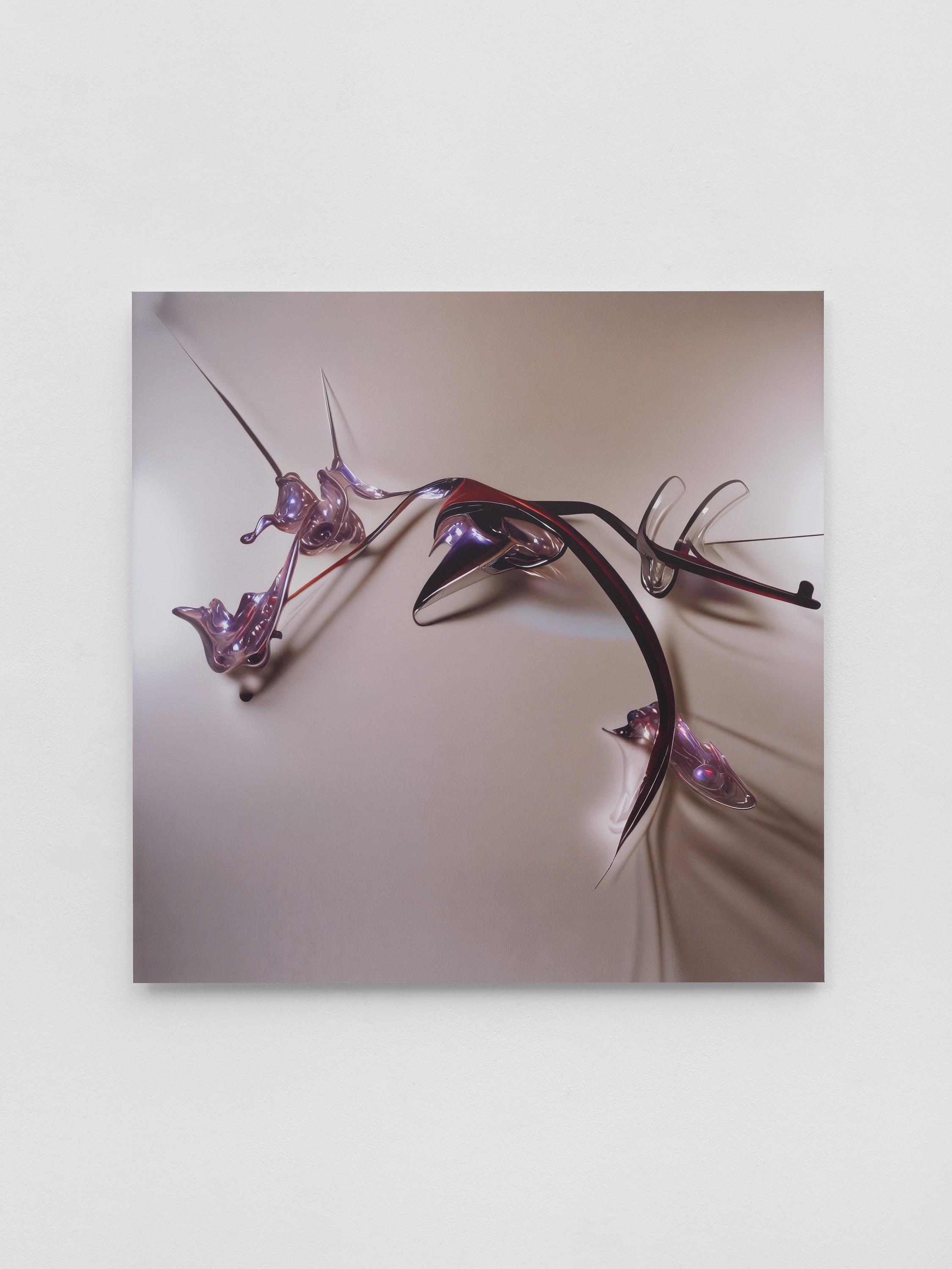 CROSSLUCID, image 21 of 25