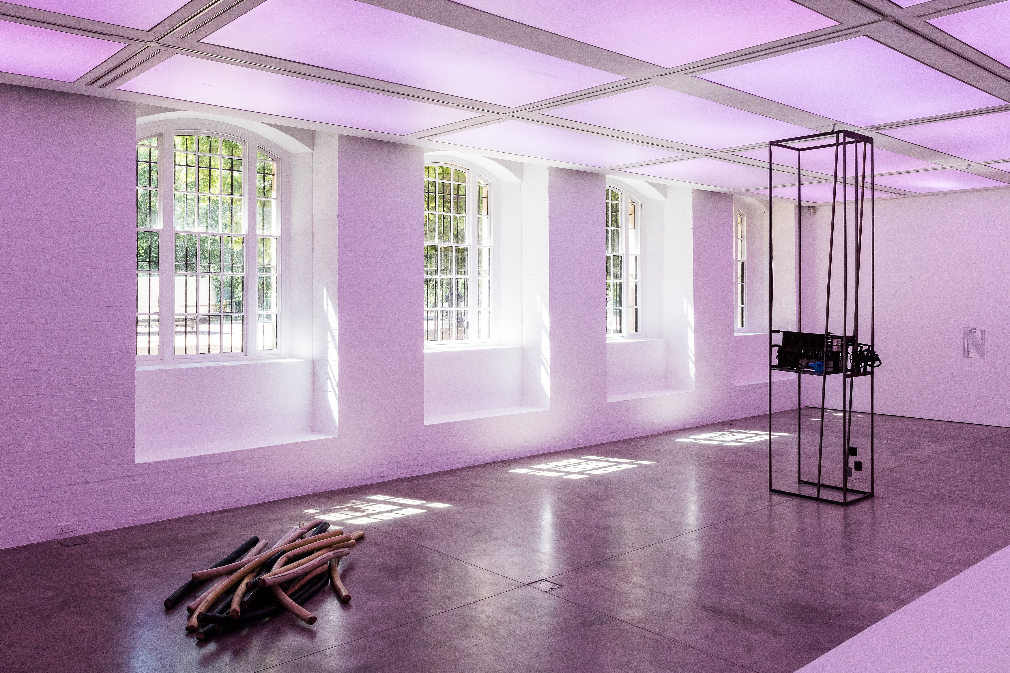 Eloise Hawser, Lives on Wire at Institute of Contemporary Arts, London, photo 2