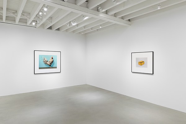 Christopher Williams at The Perimeter, London | Contemporary Art Daily