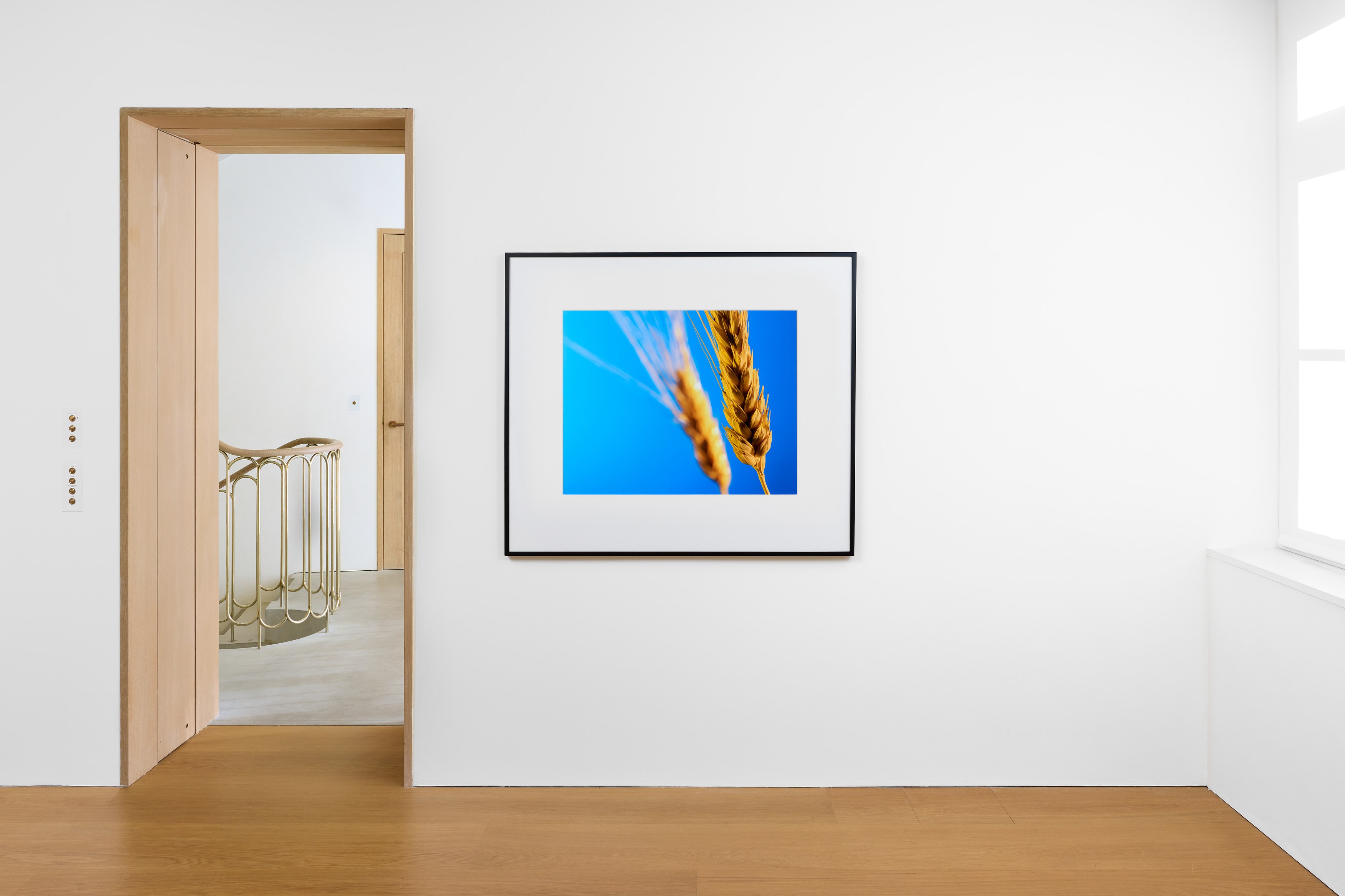 Christopher Williams, Hand Painted Signs, Photographs, Long Play Vinyl, Audiophile Bar, Printed Matter at The Perimeter, photo 19