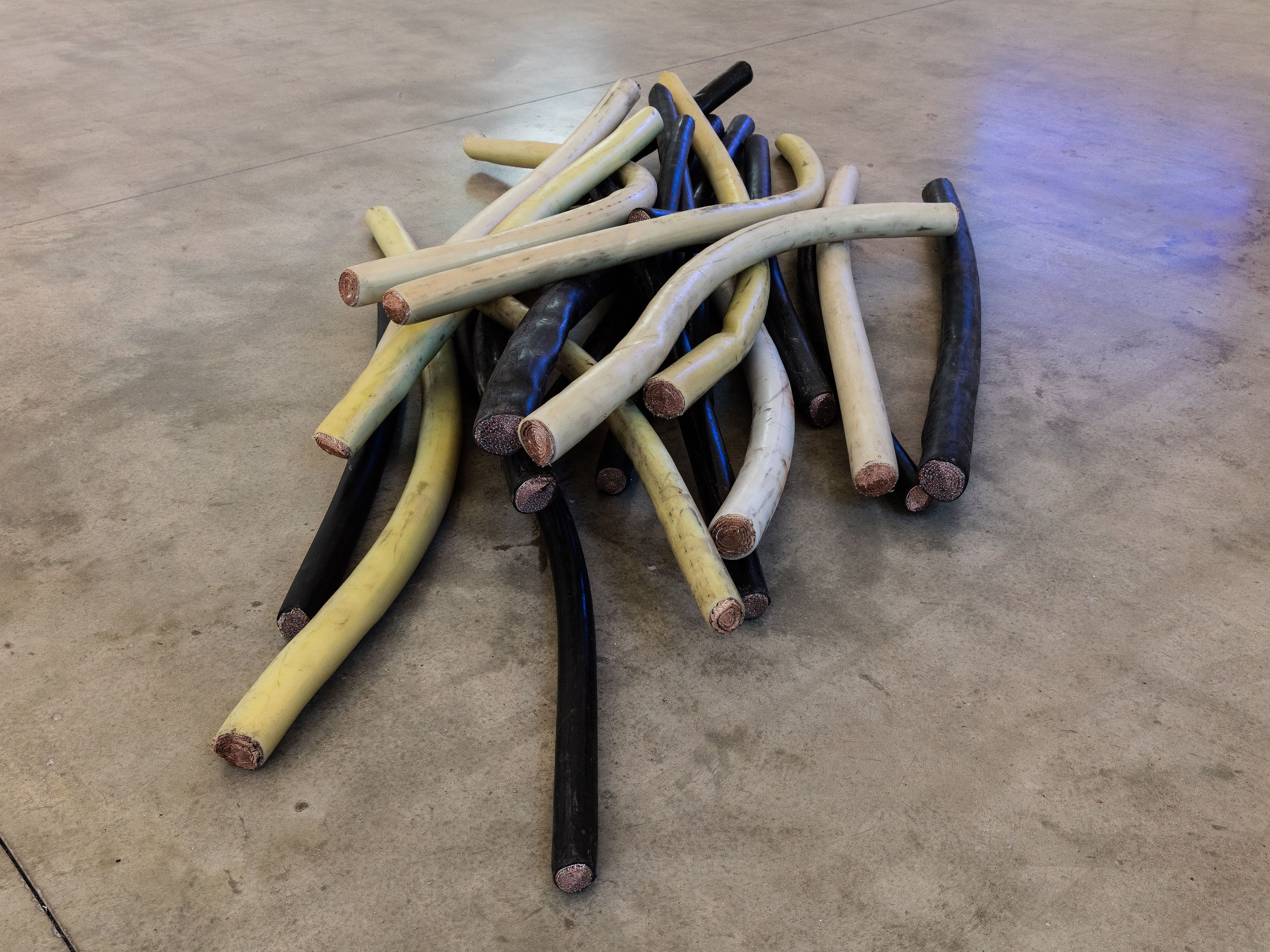 Eloise Hawser, Lives on Wire at Institute of Contemporary Arts, London, photo 11