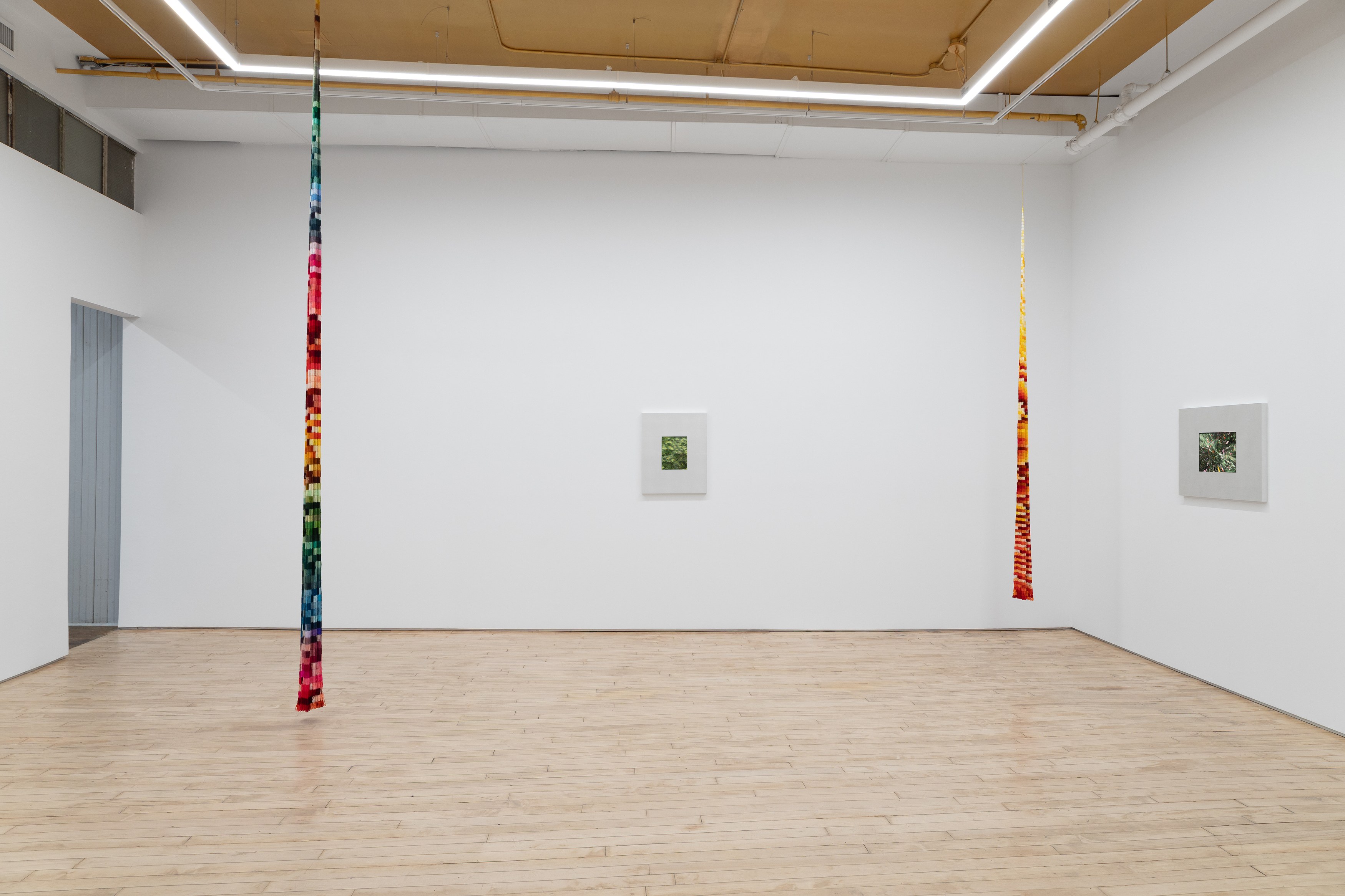 Wang Ye, image 3 of 20