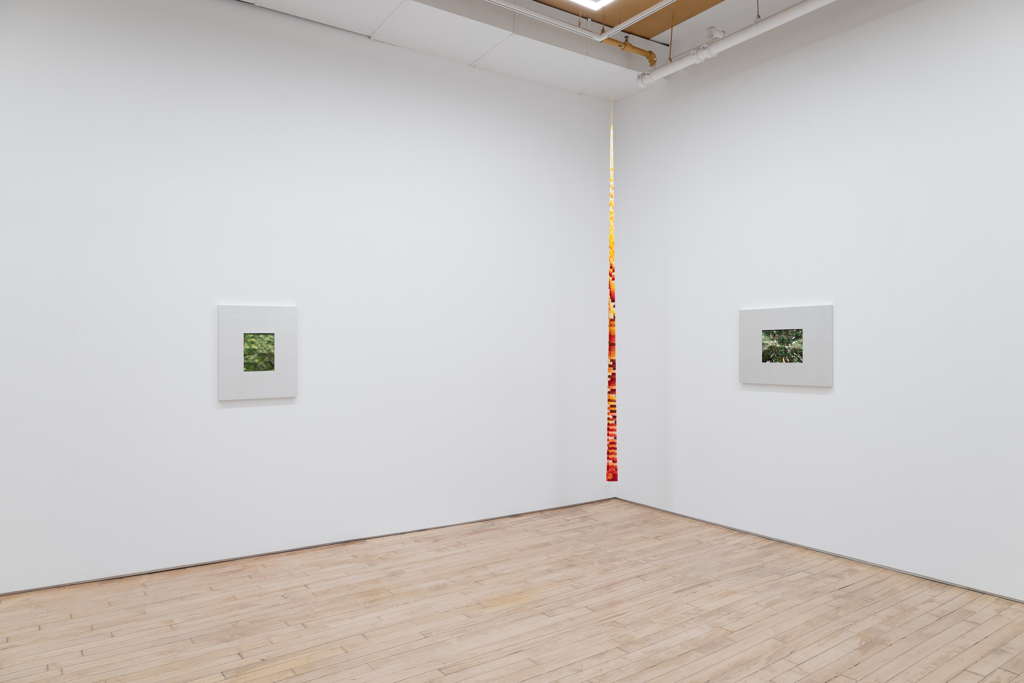 Wang Ye, image 4 of 20