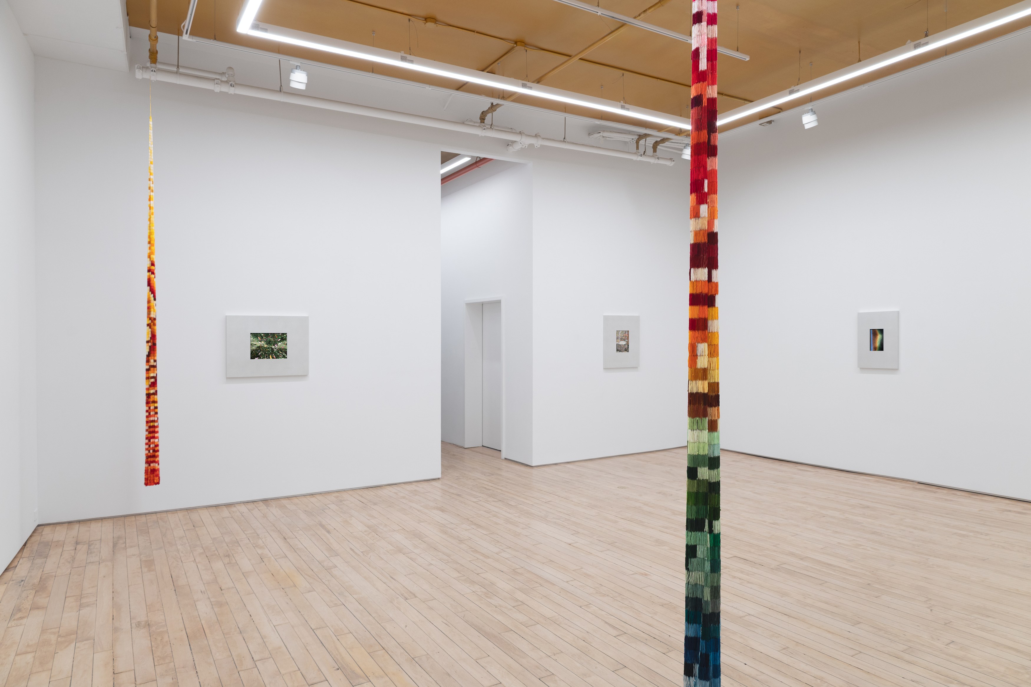 Wang Ye, image 6 of 20