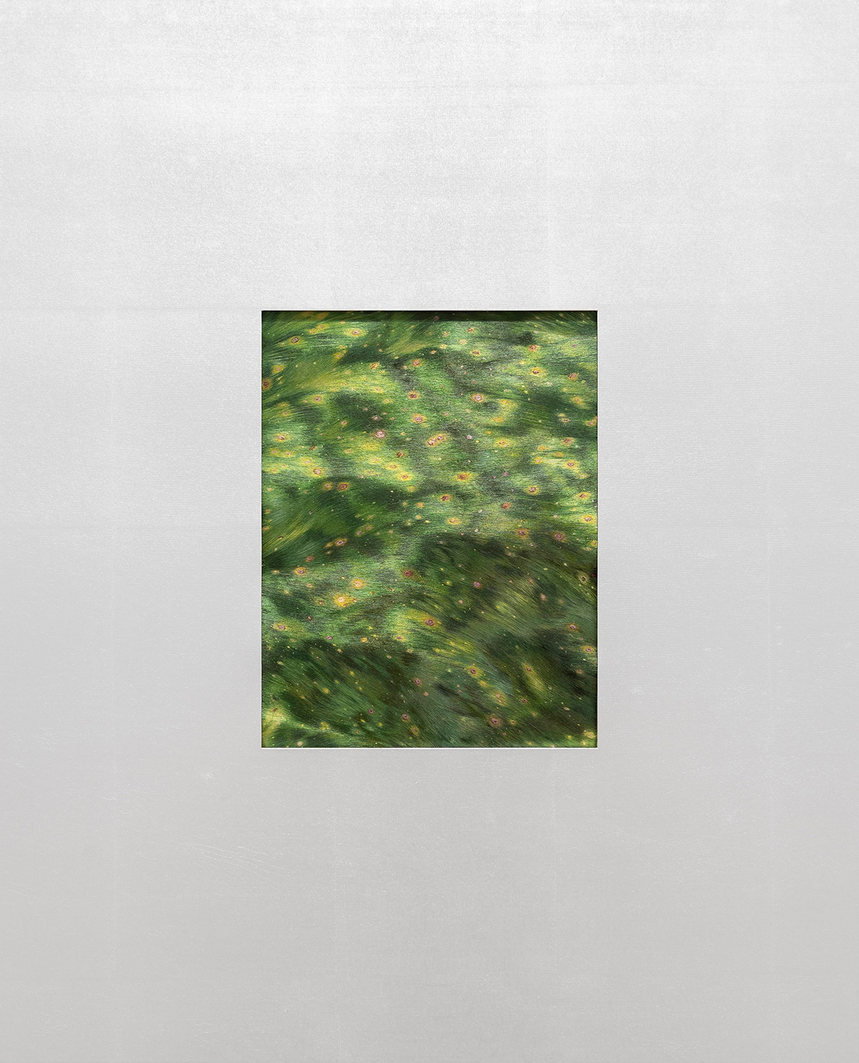 Wang Ye, image 16 of 20