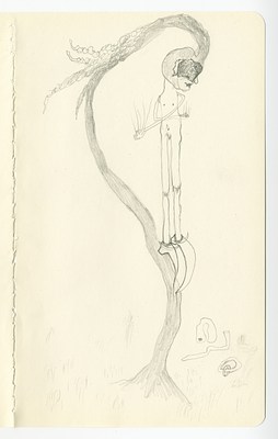 Image 12 of 53