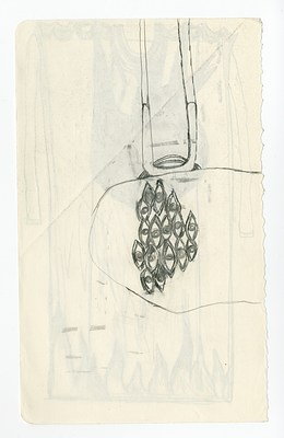 Image 14 of 53