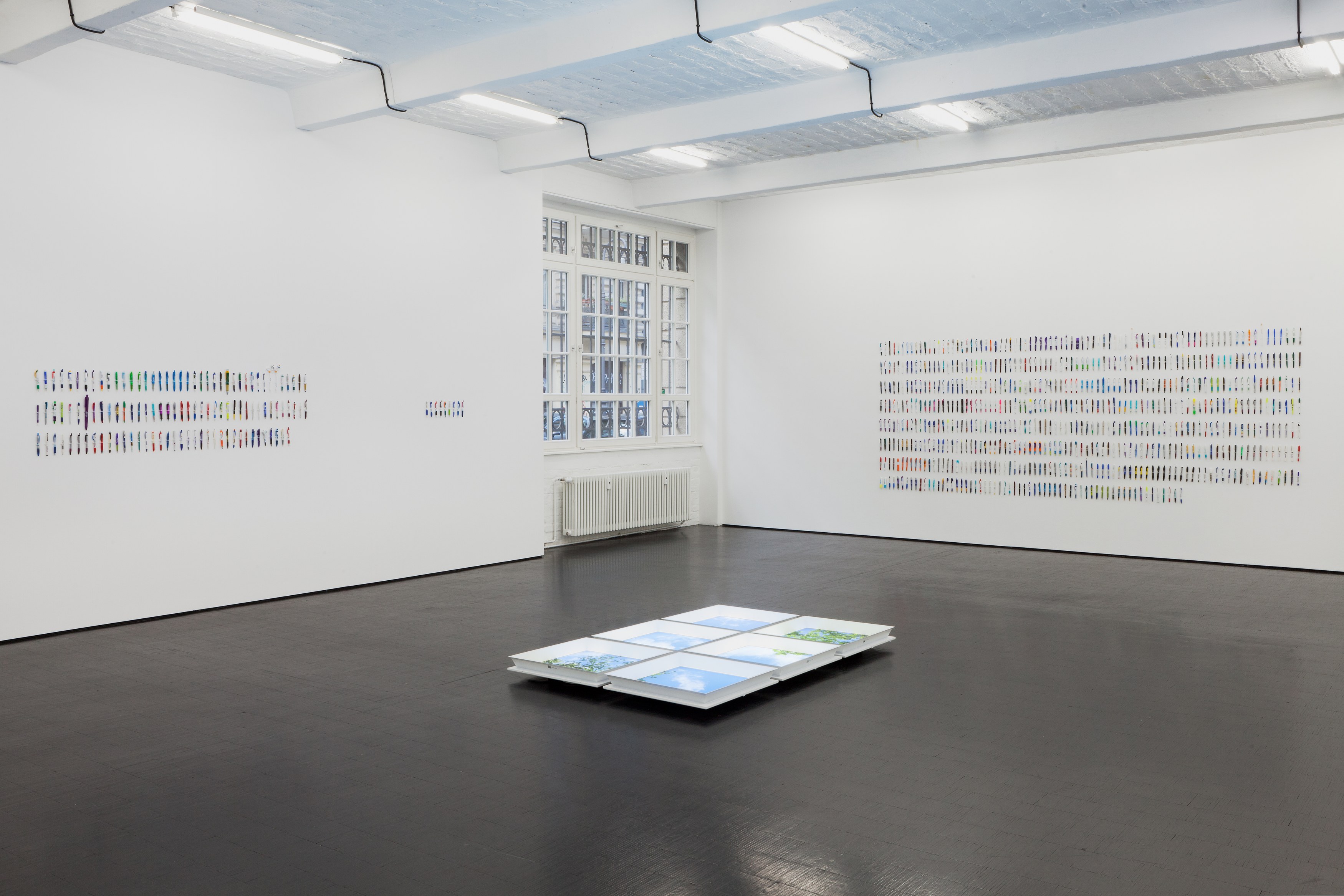 Carolyn Lazard, Corpus at Trautwein Herleth, photo 2
