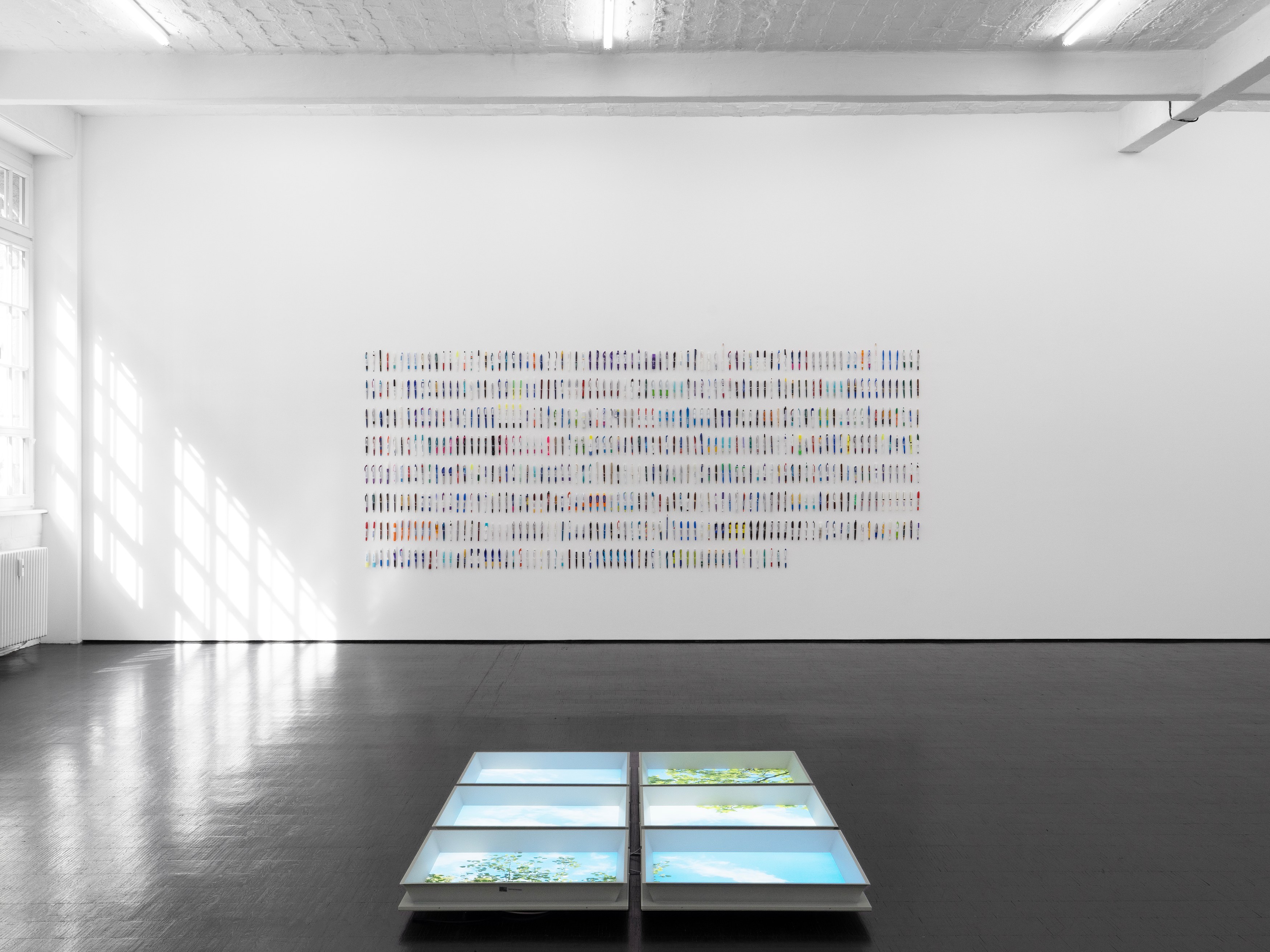 Carolyn Lazard, Corpus at Trautwein Herleth, photo 3