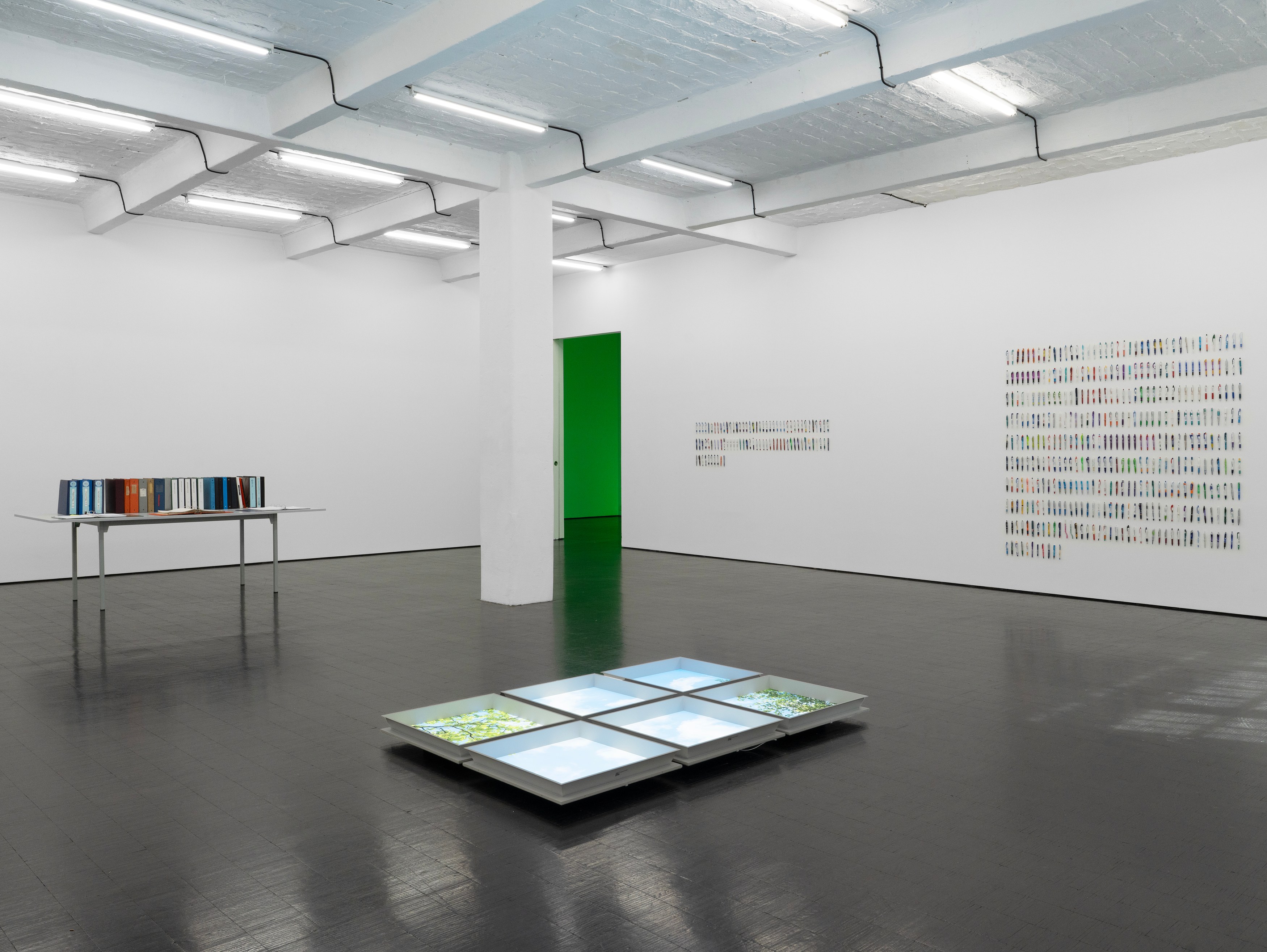 Carolyn Lazard, Corpus at Trautwein Herleth, photo 4