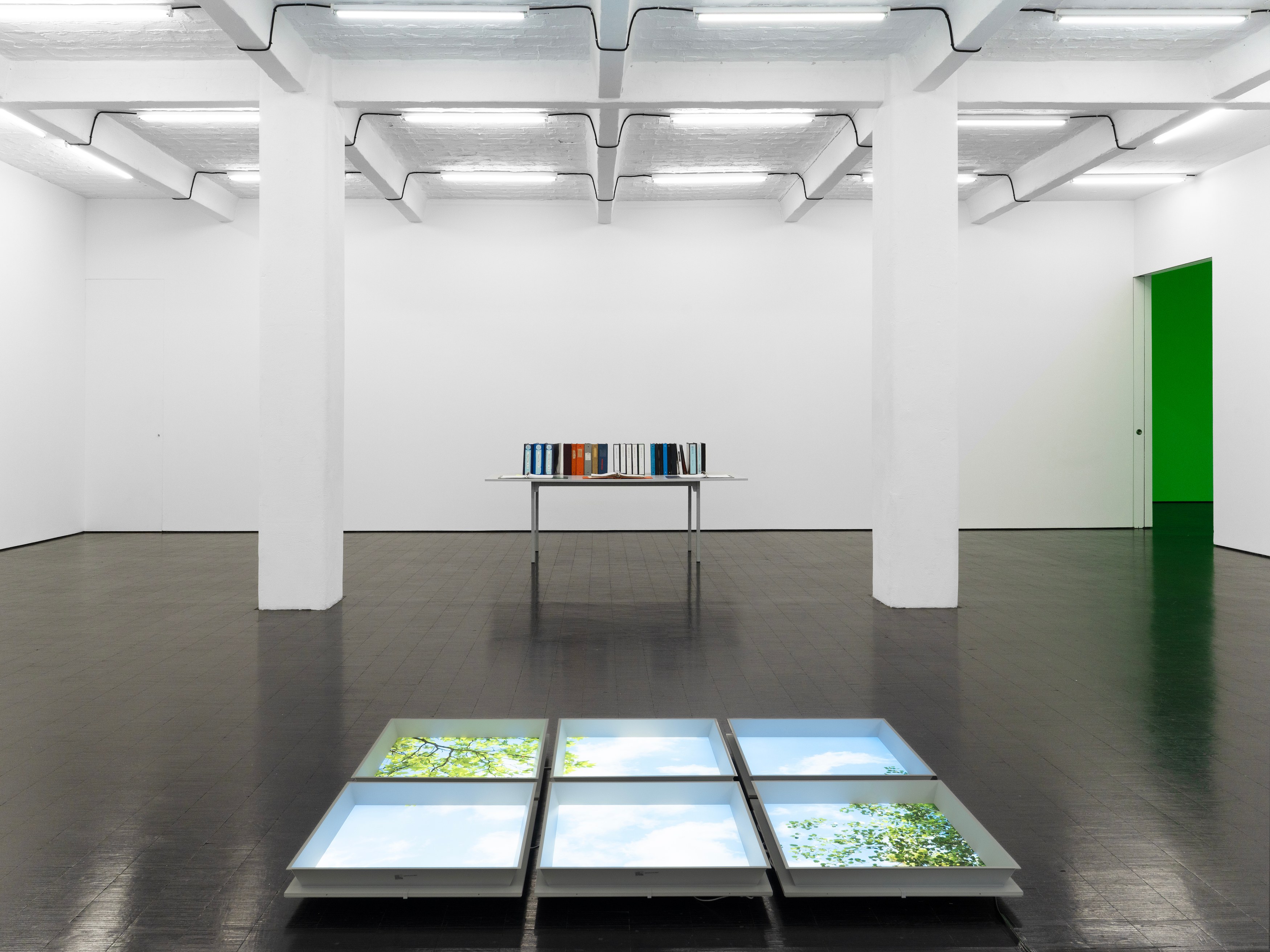 Carolyn Lazard, Corpus at Trautwein Herleth, photo 6