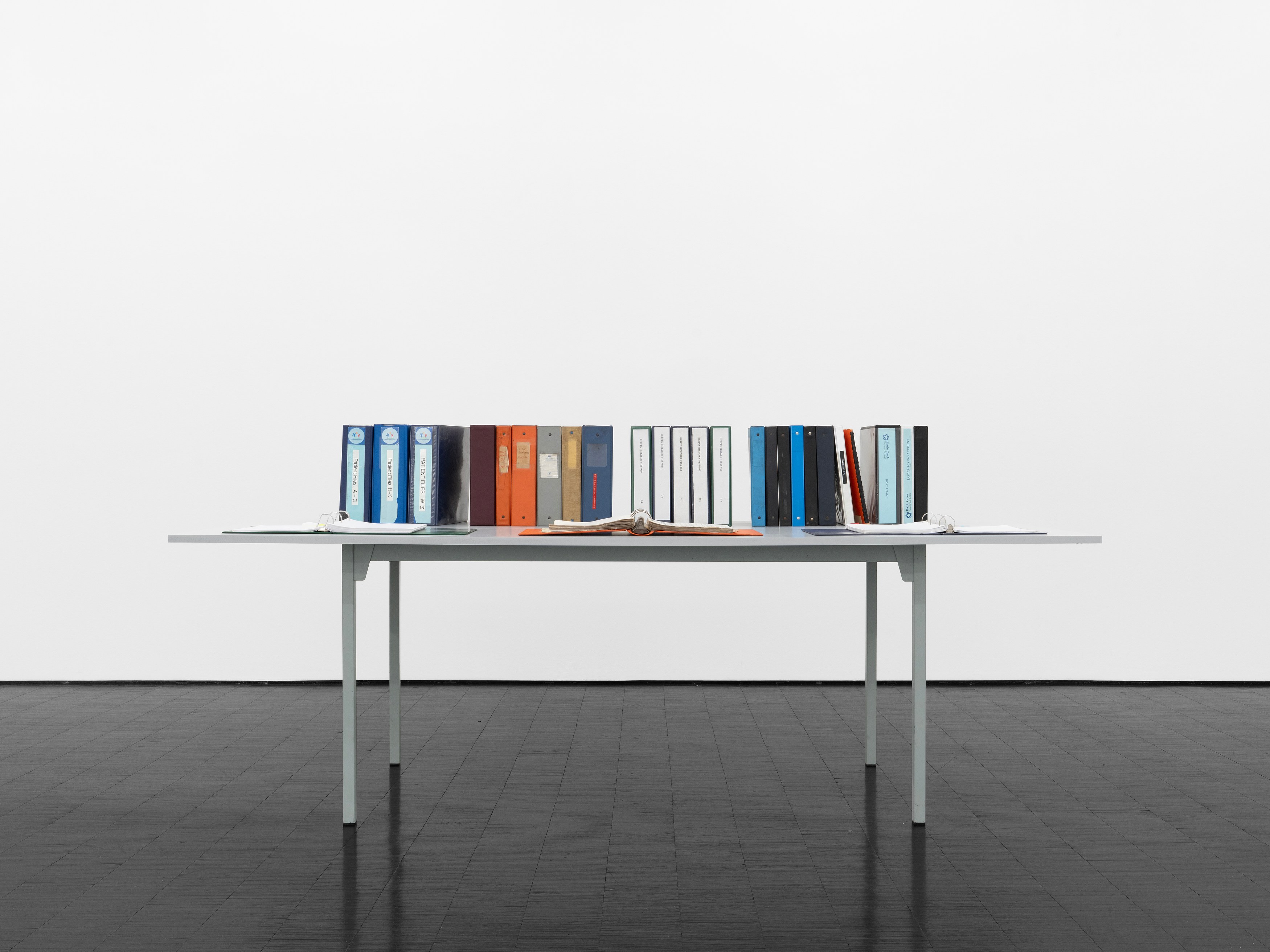 Carolyn Lazard, Corpus at Trautwein Herleth, photo 7