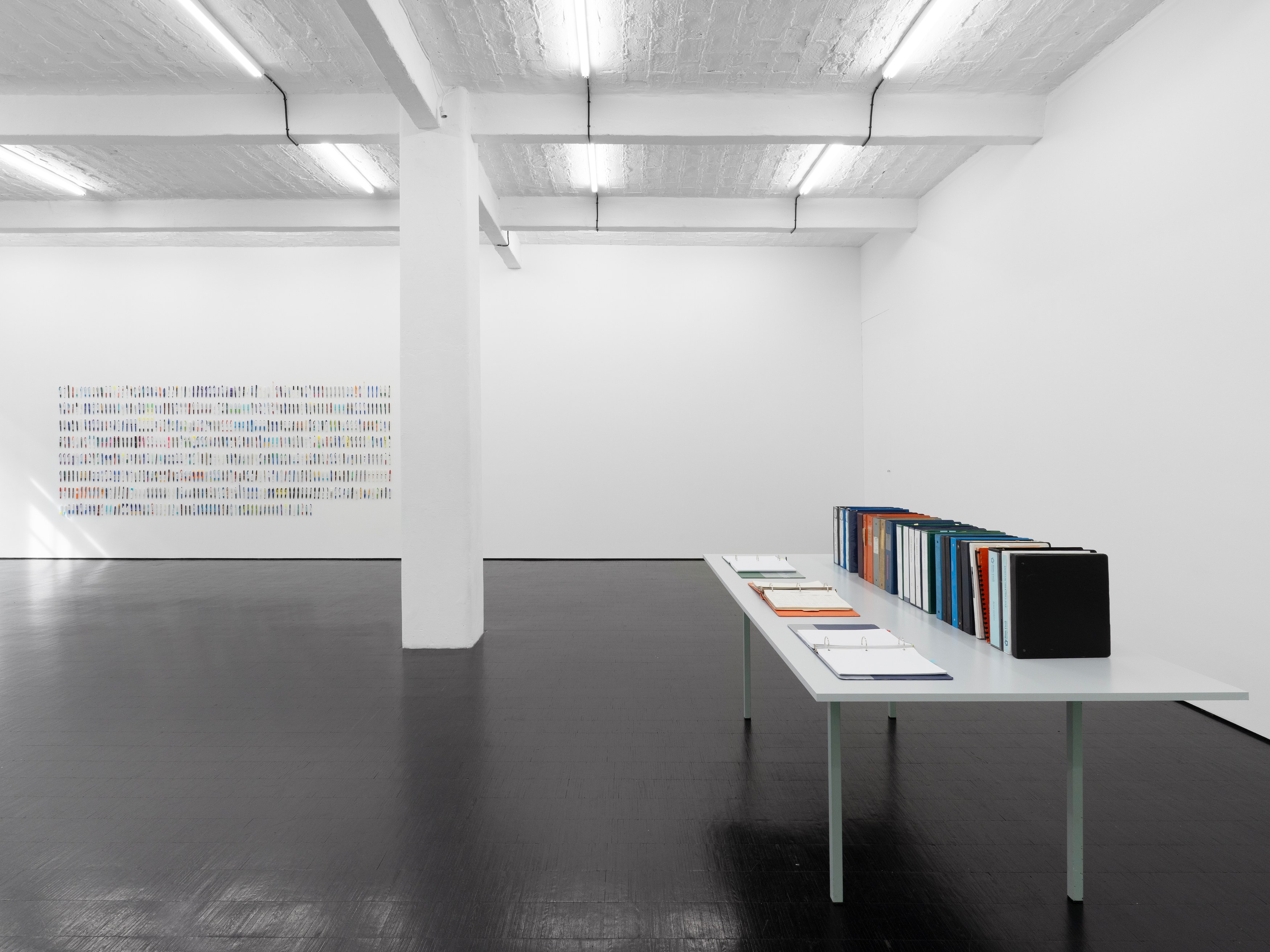 Carolyn Lazard, Corpus at Trautwein Herleth, photo 11