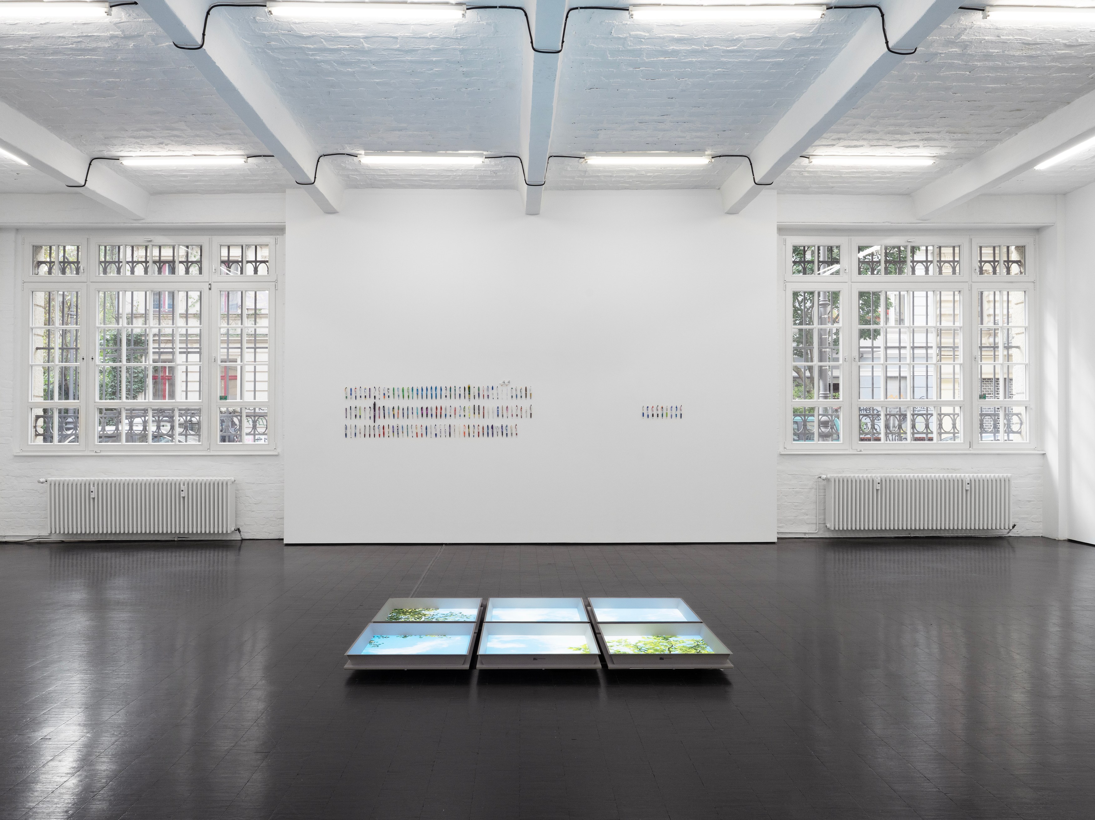 Carolyn Lazard, Corpus at Trautwein Herleth, photo 20
