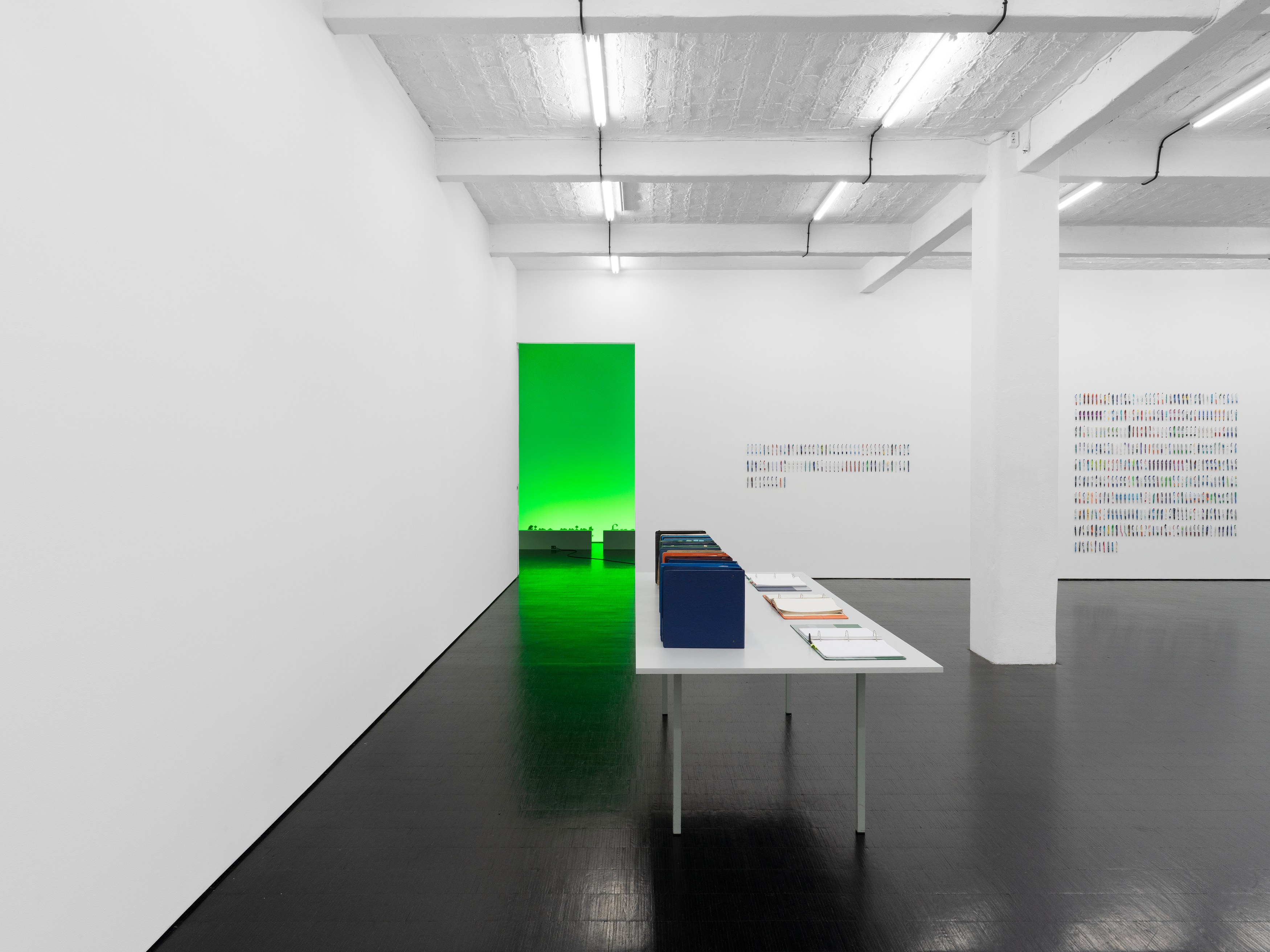 Carolyn Lazard, Corpus at Trautwein Herleth, photo 24