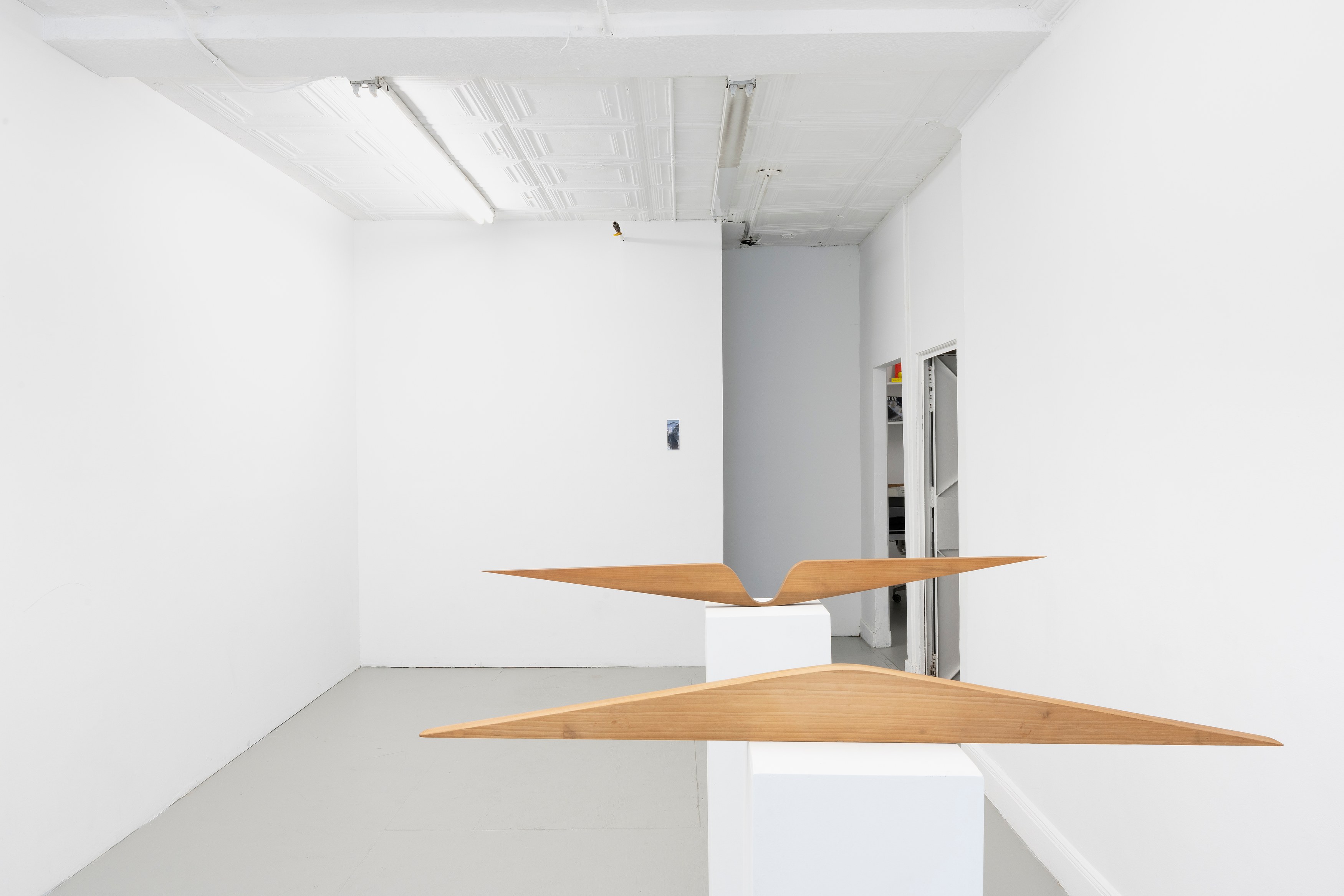 Bettina, Non-Waiver at Ulrik, photo 21