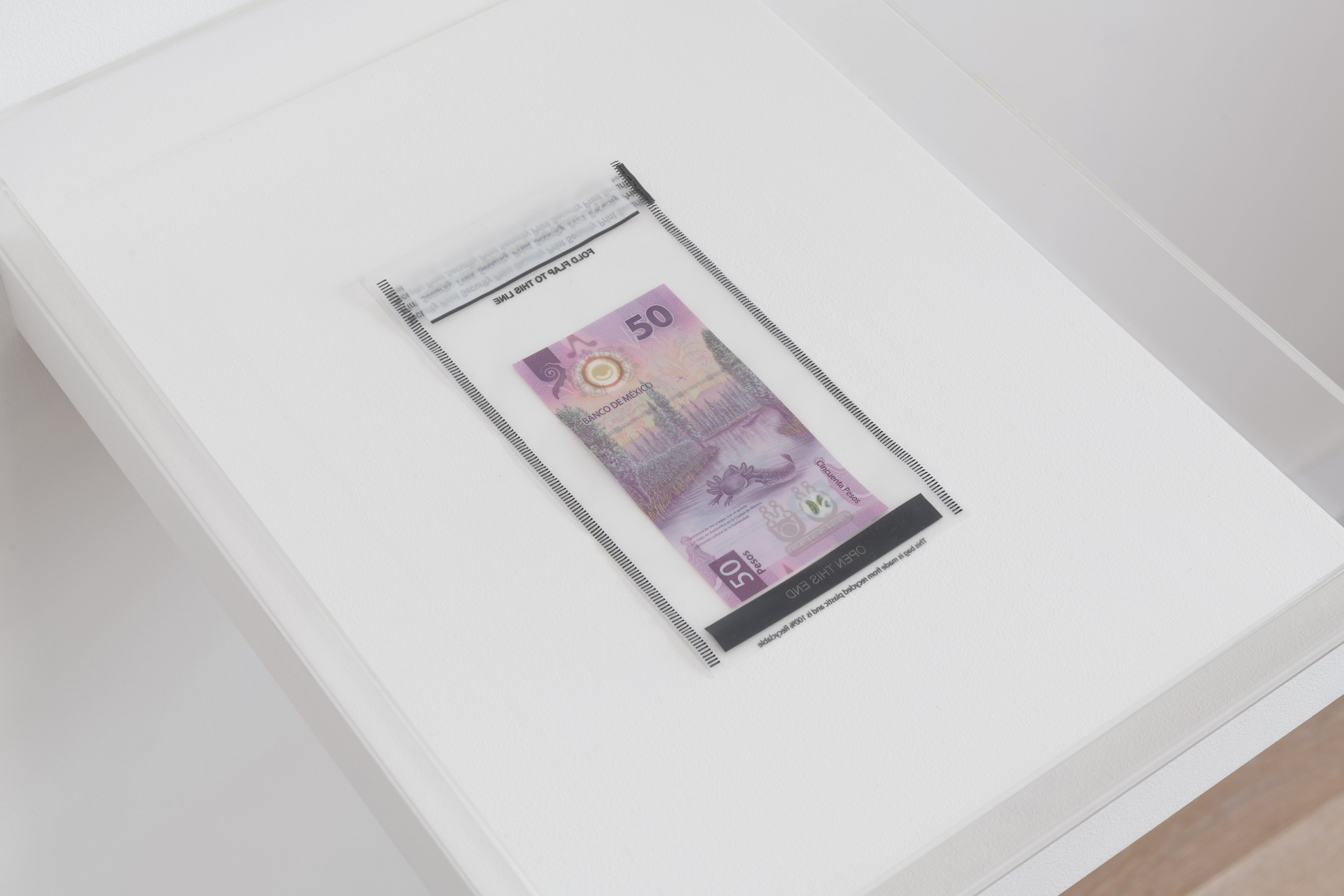 Débora Delmar, Perce Jerrom, Liquidity at piloto pardo, photo 13