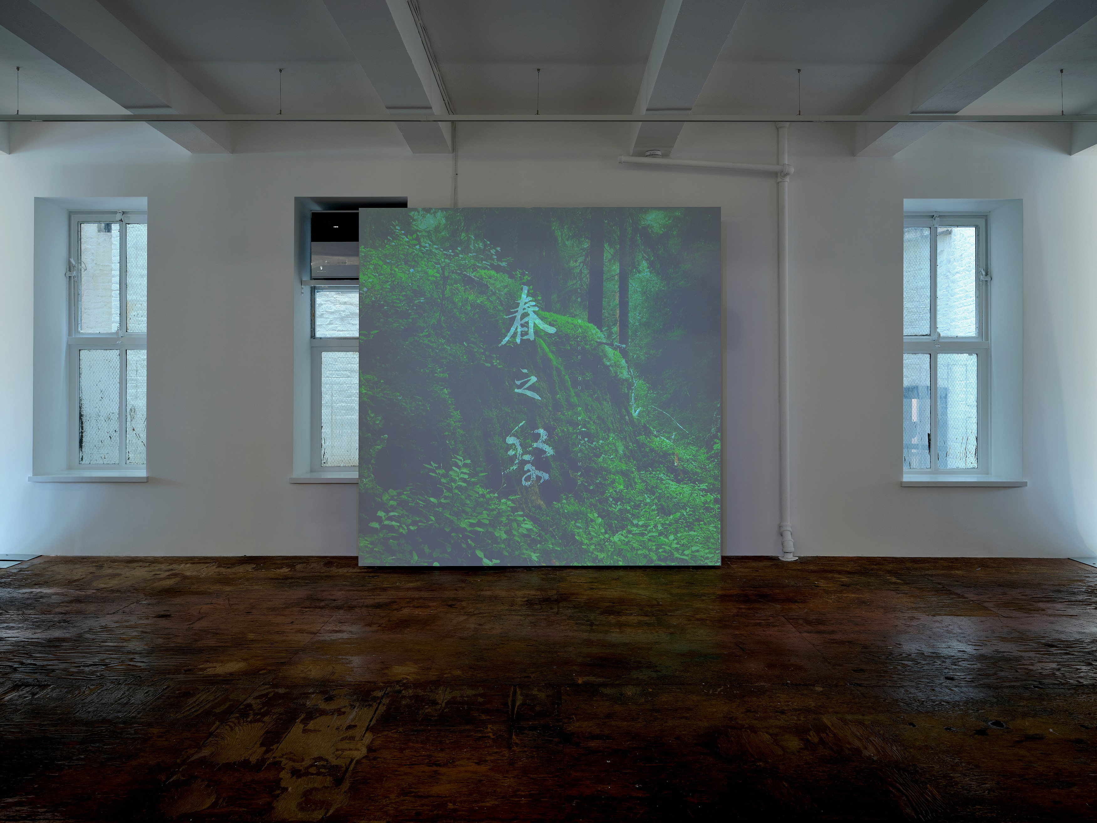Zheng Bo, Vibrancy, Vibrancy, Vibrancy at Kiang Malingue, photo 6