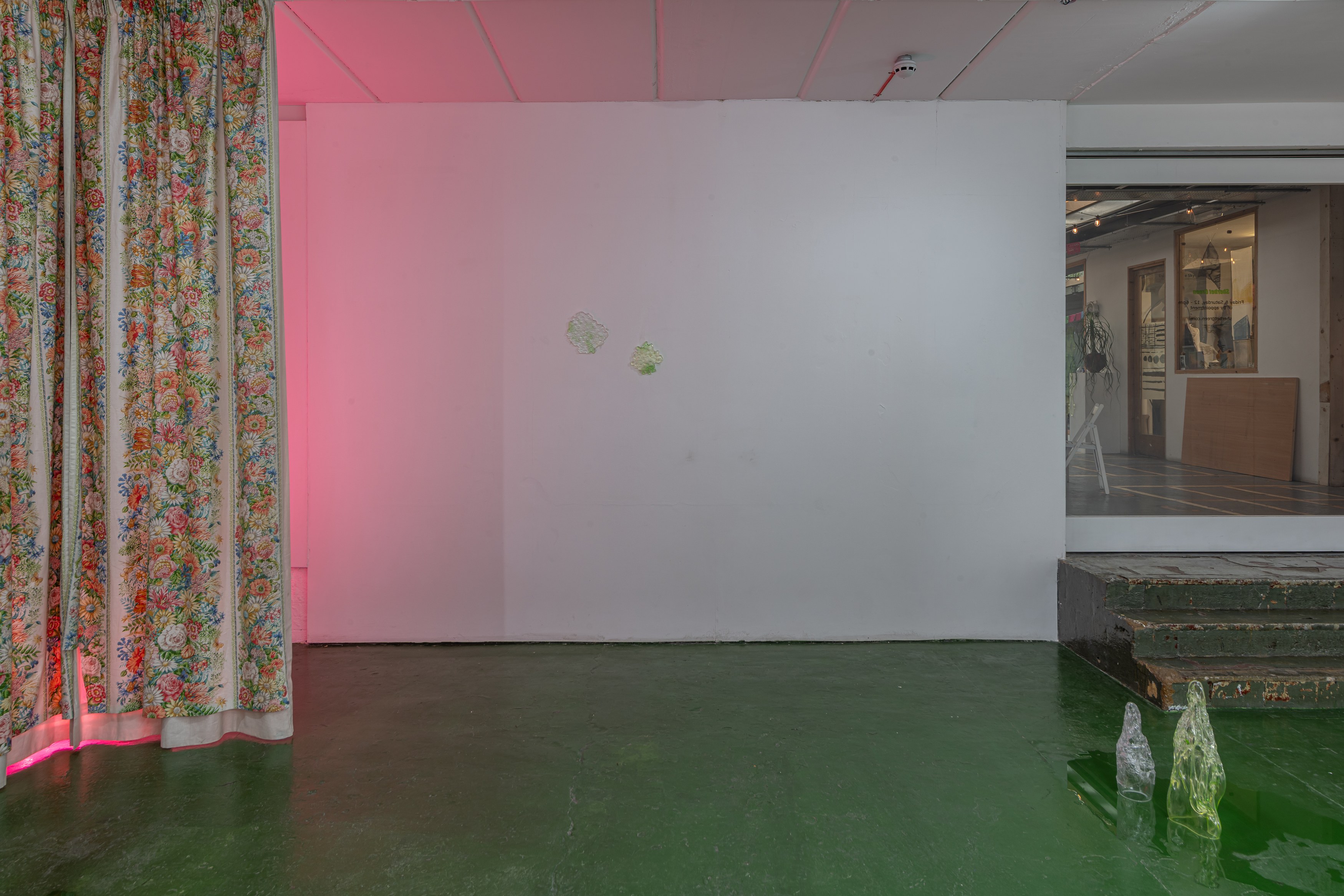 Jean-François, Daisy Krebs, Plasmatic Joy at Sherbet Green, photo 4