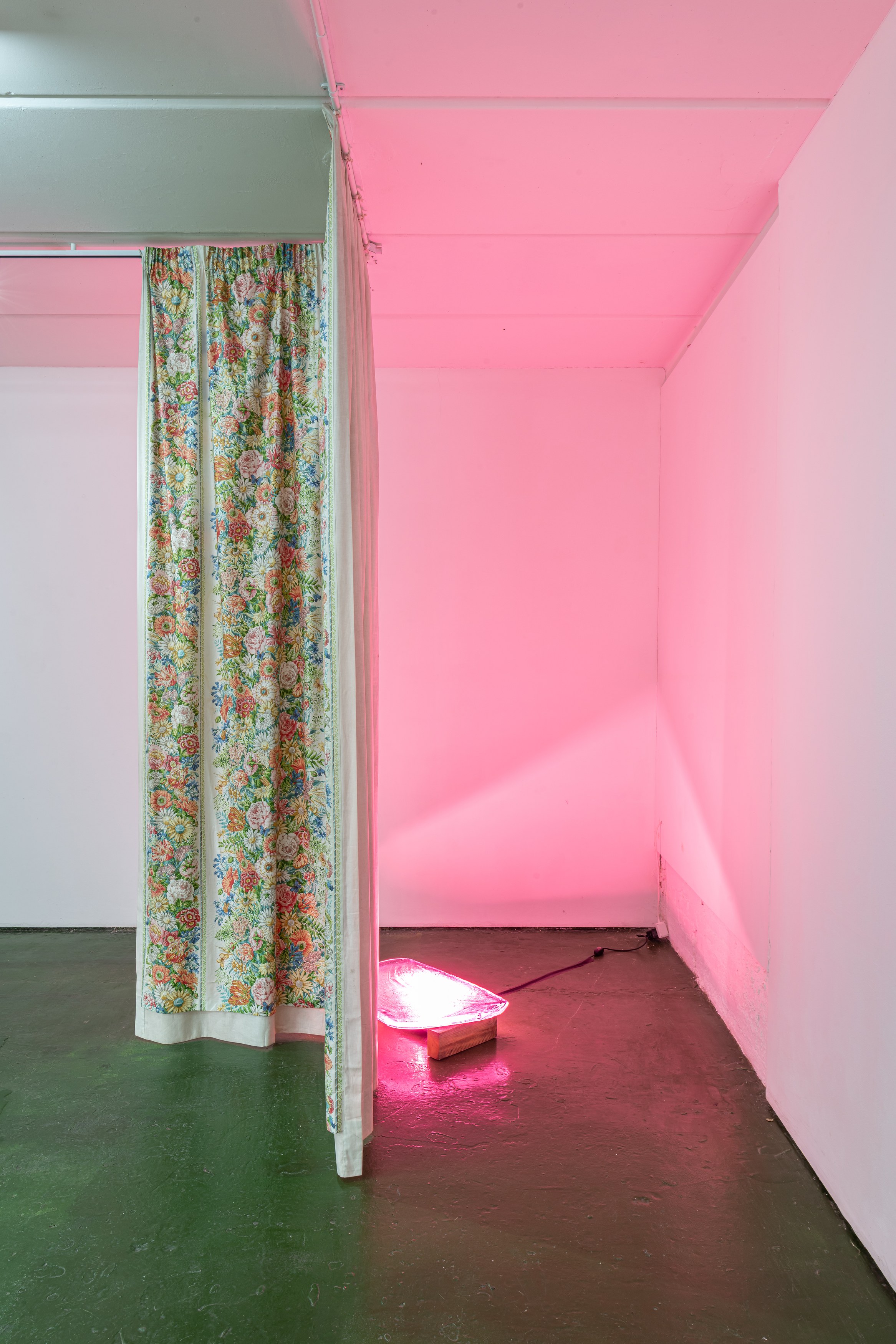 Jean-François, Daisy Krebs, Plasmatic Joy at Sherbet Green, photo 7