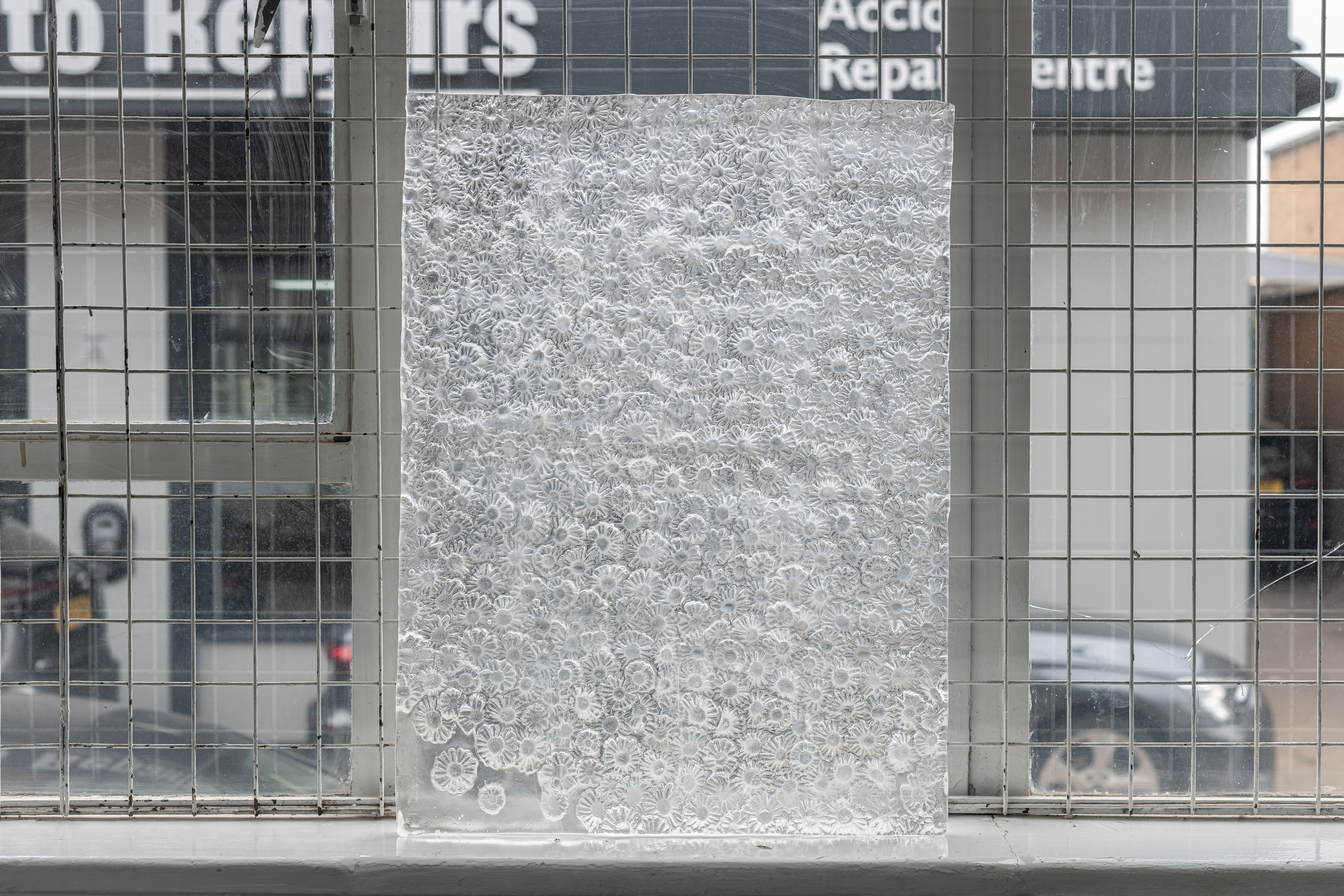 Jean-François, Daisy Krebs, Plasmatic Joy at Sherbet Green, photo 85