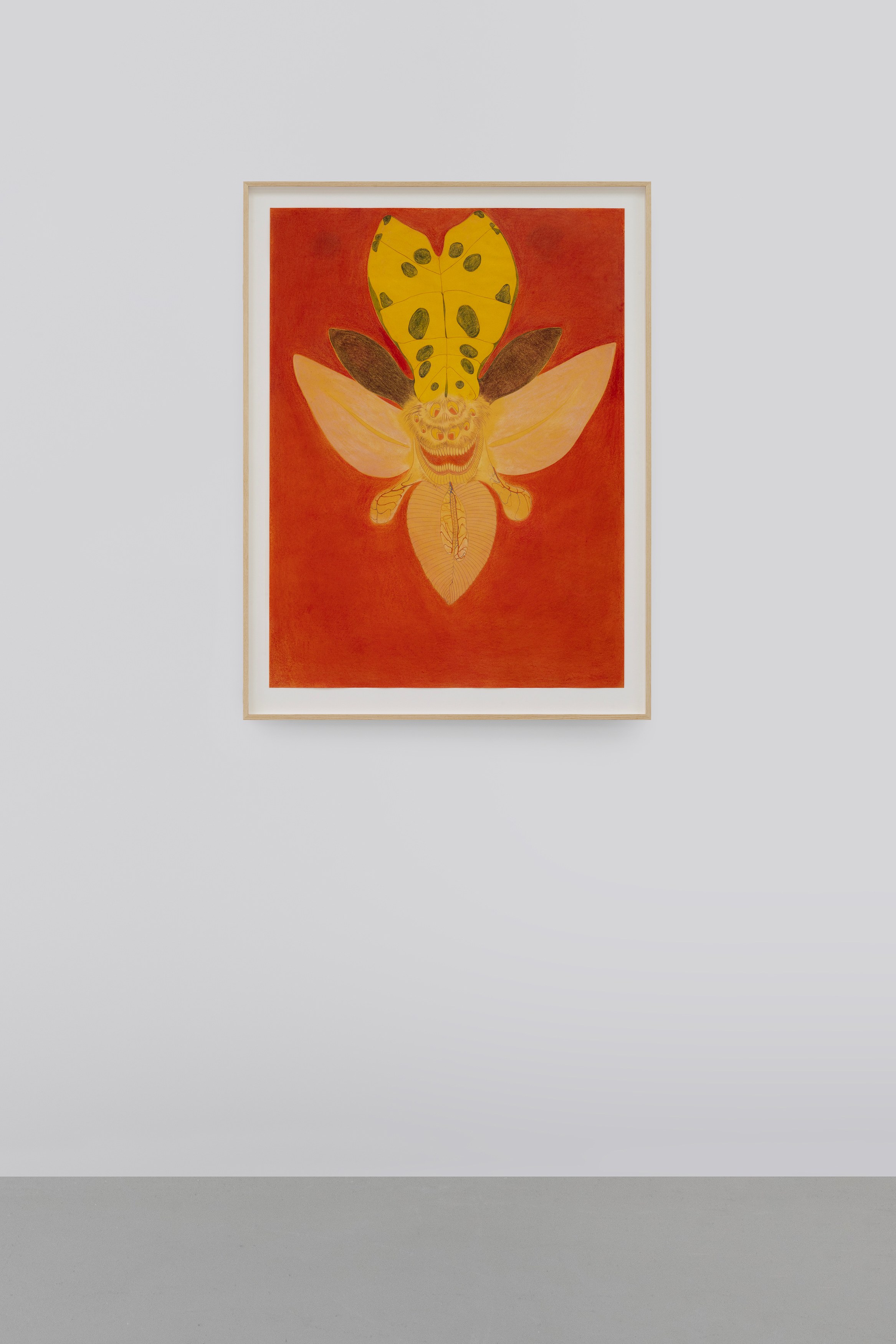 Javier Barrios, Cosmic Strips at Ilenia, photo 23