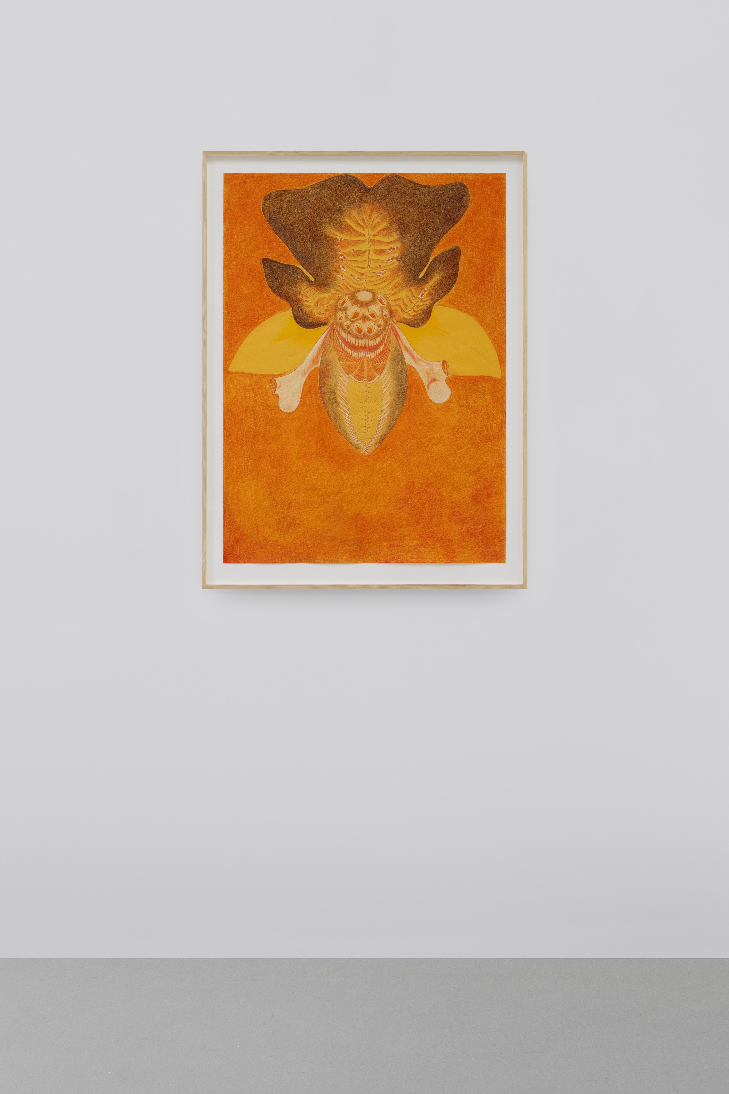 Javier Barrios, Cosmic Strips at Ilenia, photo 22