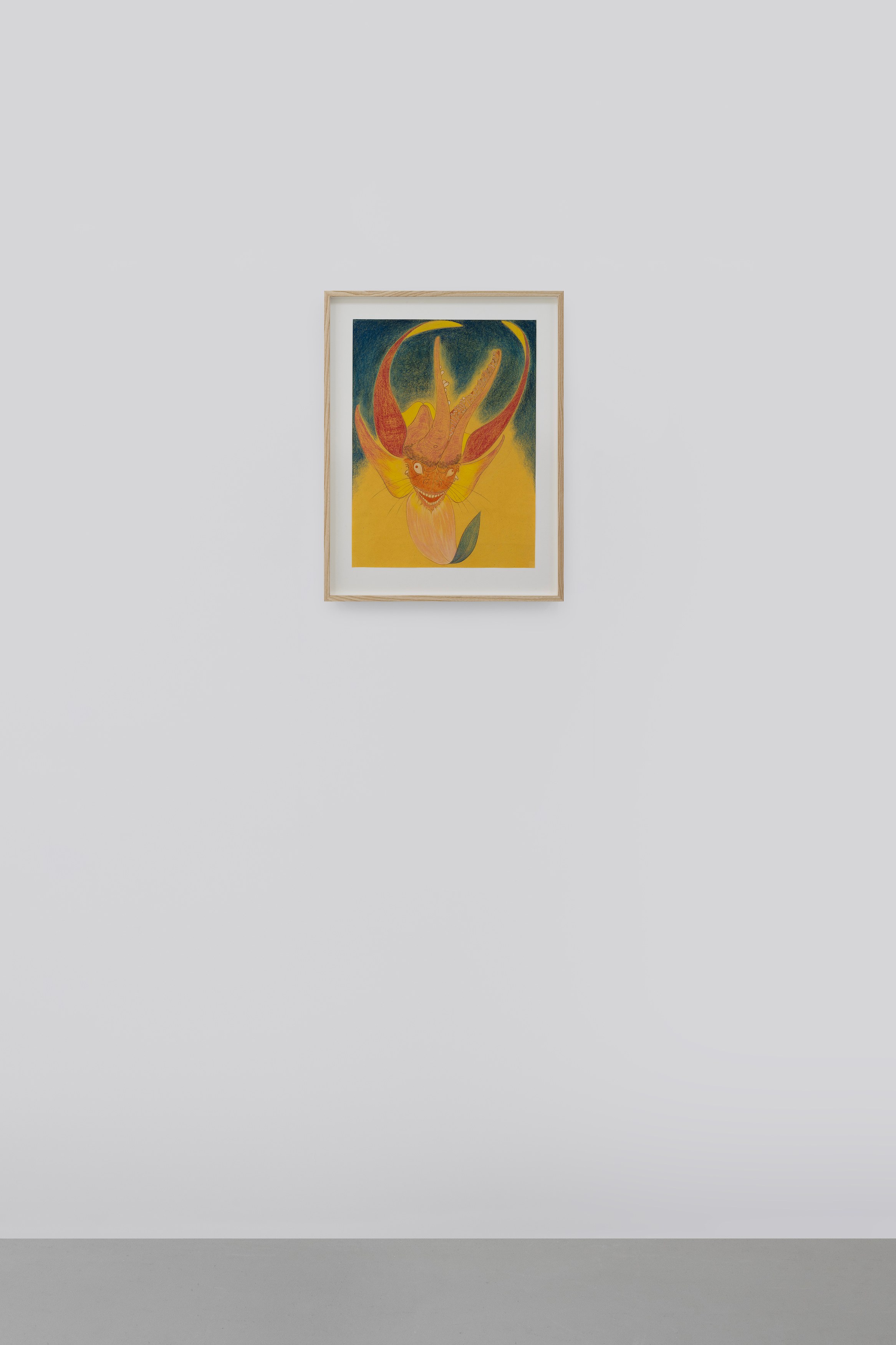 Javier Barrios, Cosmic Strips at Ilenia, photo 26
