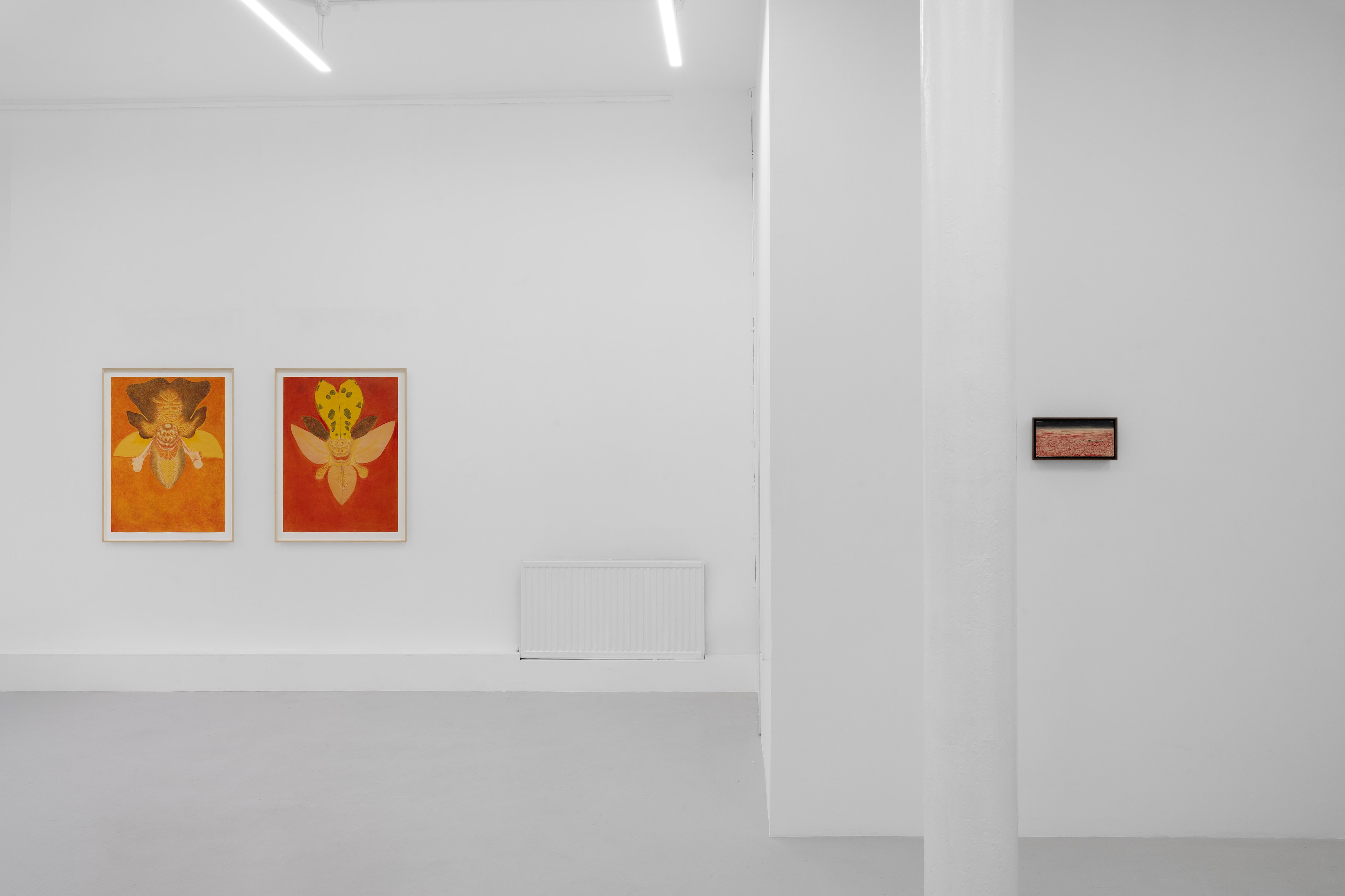 Javier Barrios, Cosmic Strips at Ilenia, photo 2
