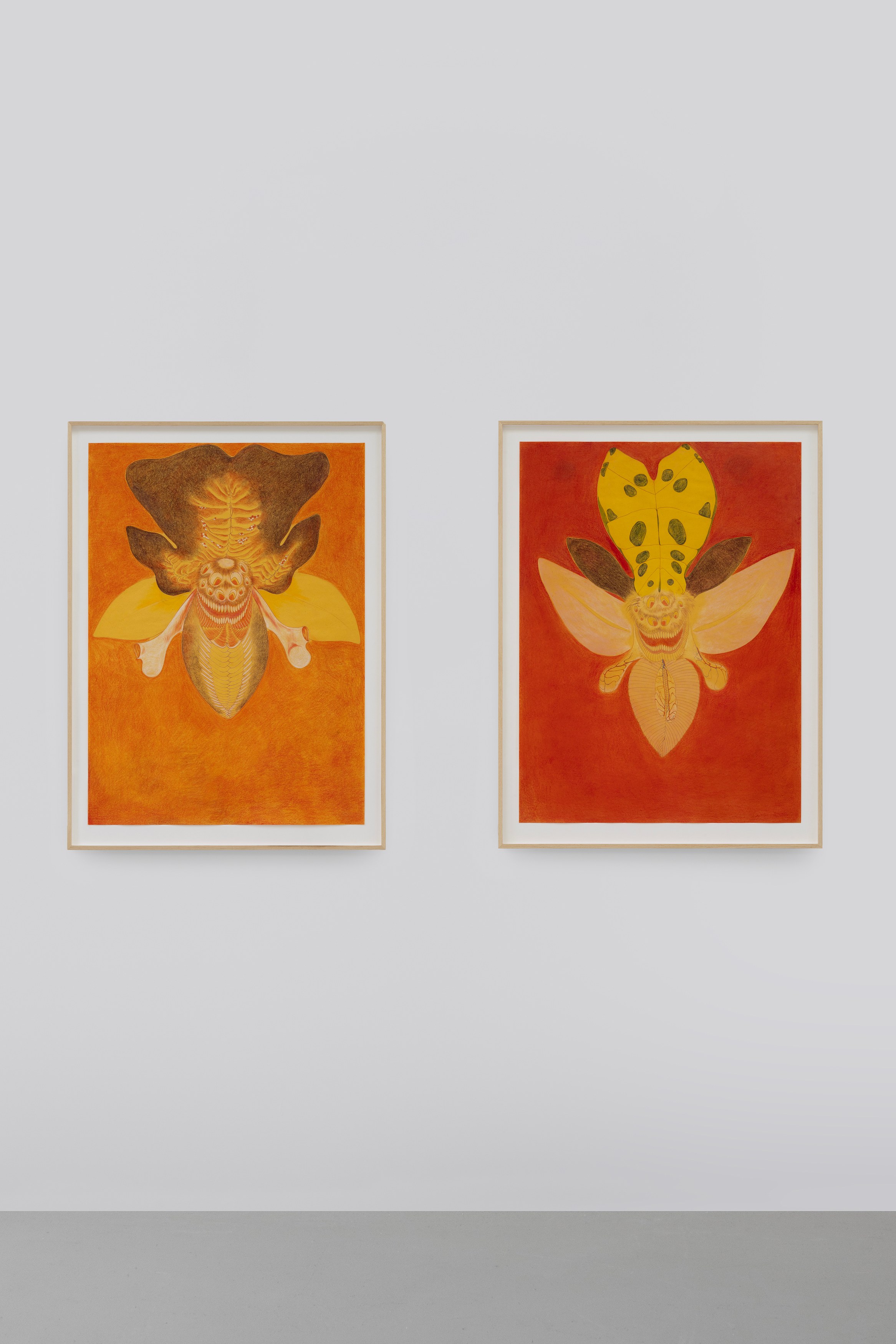 Javier Barrios, Cosmic Strips at Ilenia, photo 4